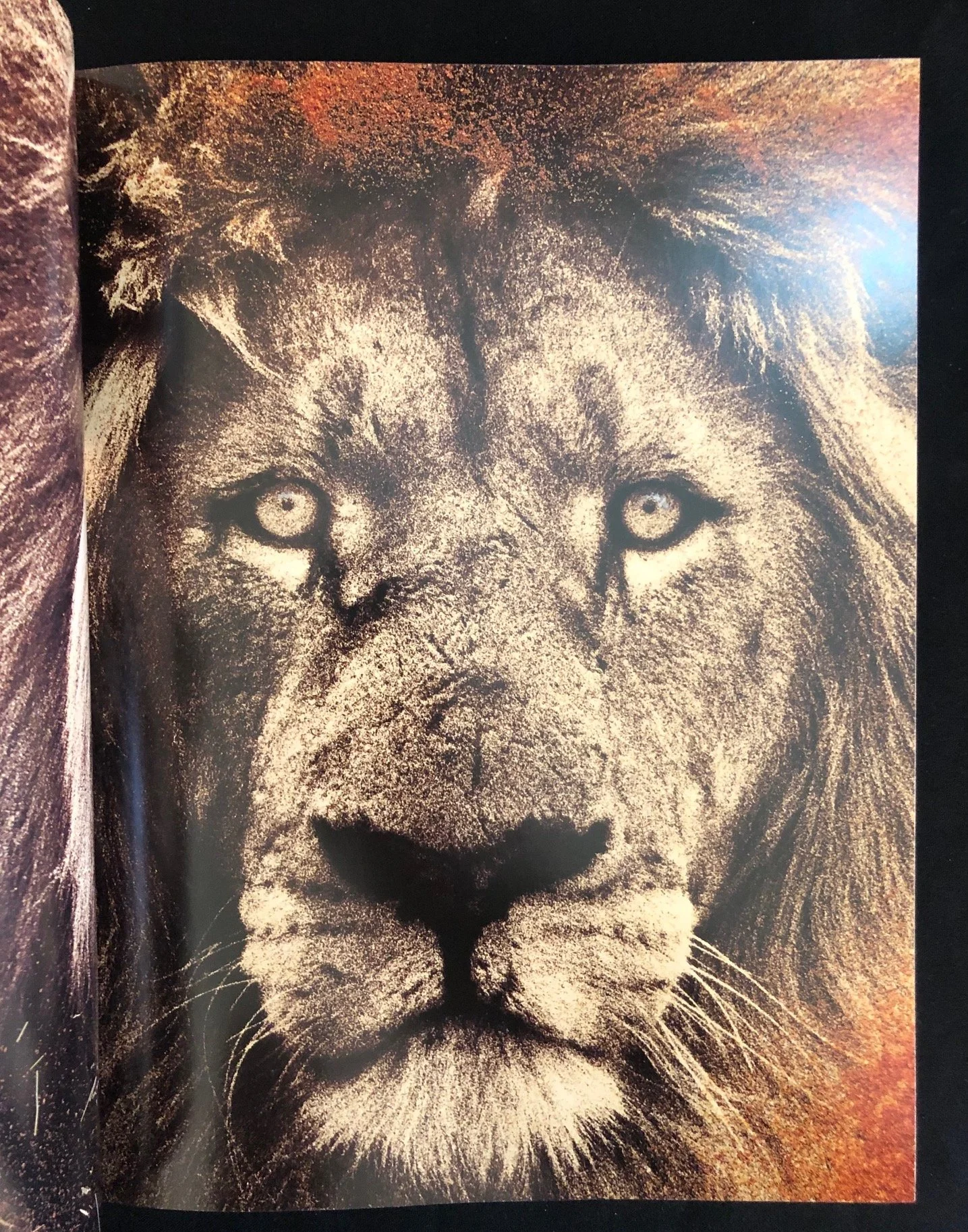 An African Journal; Fine art photography by Horst Klemm, signed de luxe edition (1994)