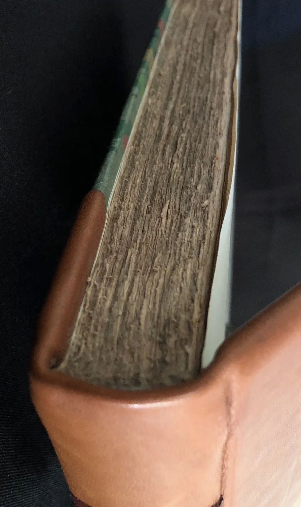 Captain Robert Percival’s An Account of the Cape of Good Hope (1804)