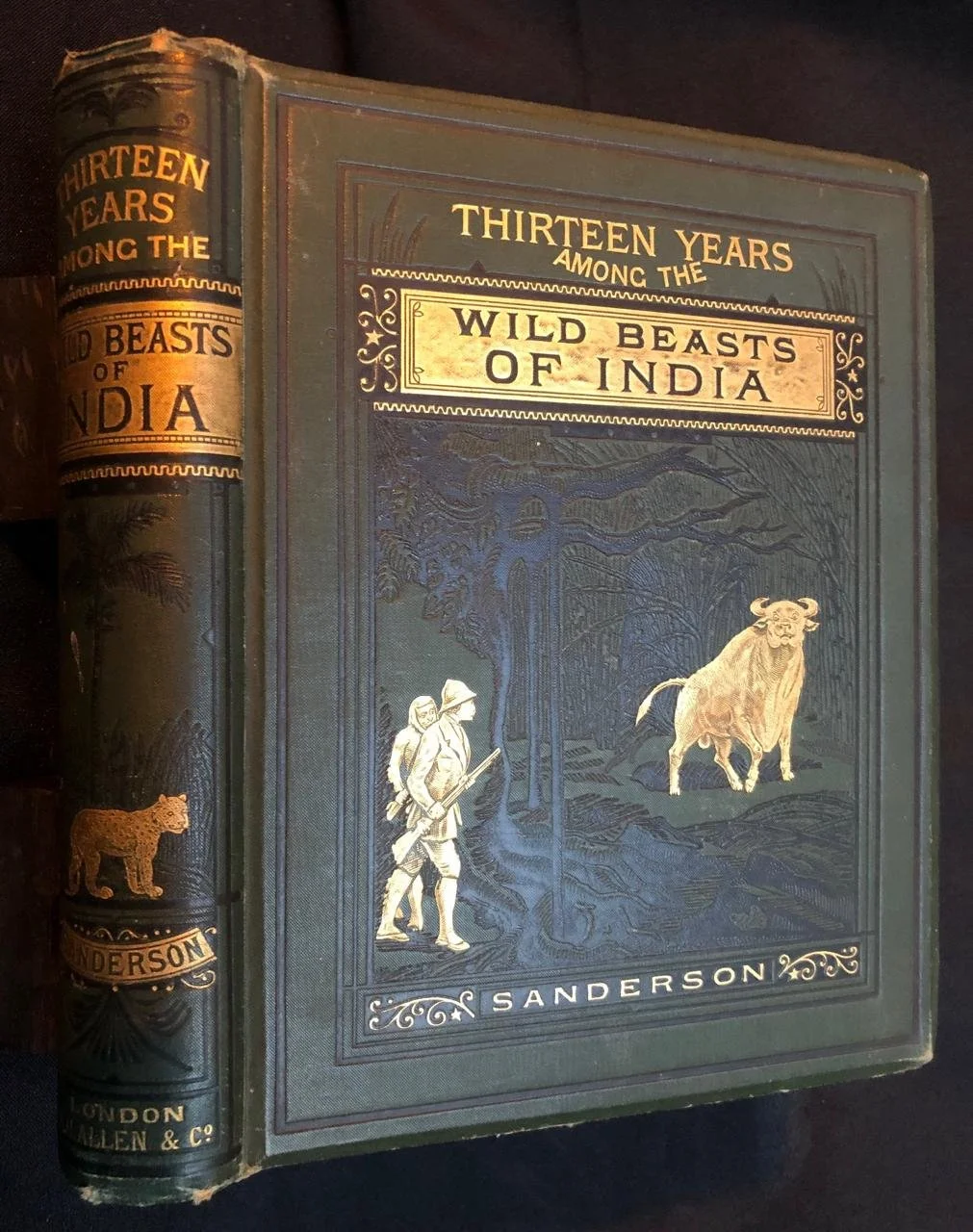 Thirteen Years Among the Wild Beasts of India (1890)
