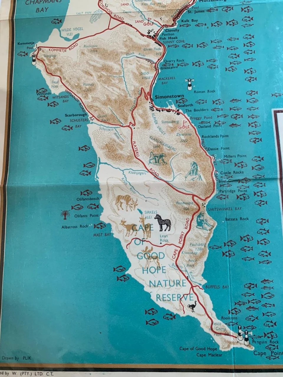 Map of The Cape Peninsula 1949 6.jpeg