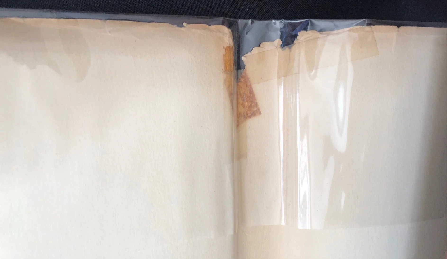 Prehistoric Cave Paintings 3.jpg