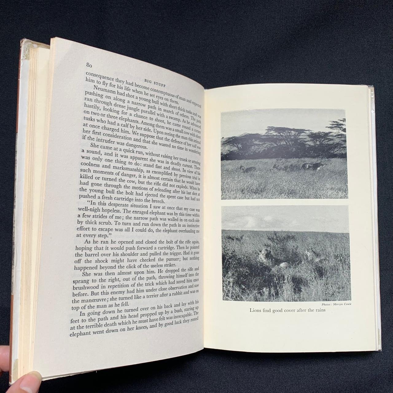 Big Stuff (1954) 6.jpeg