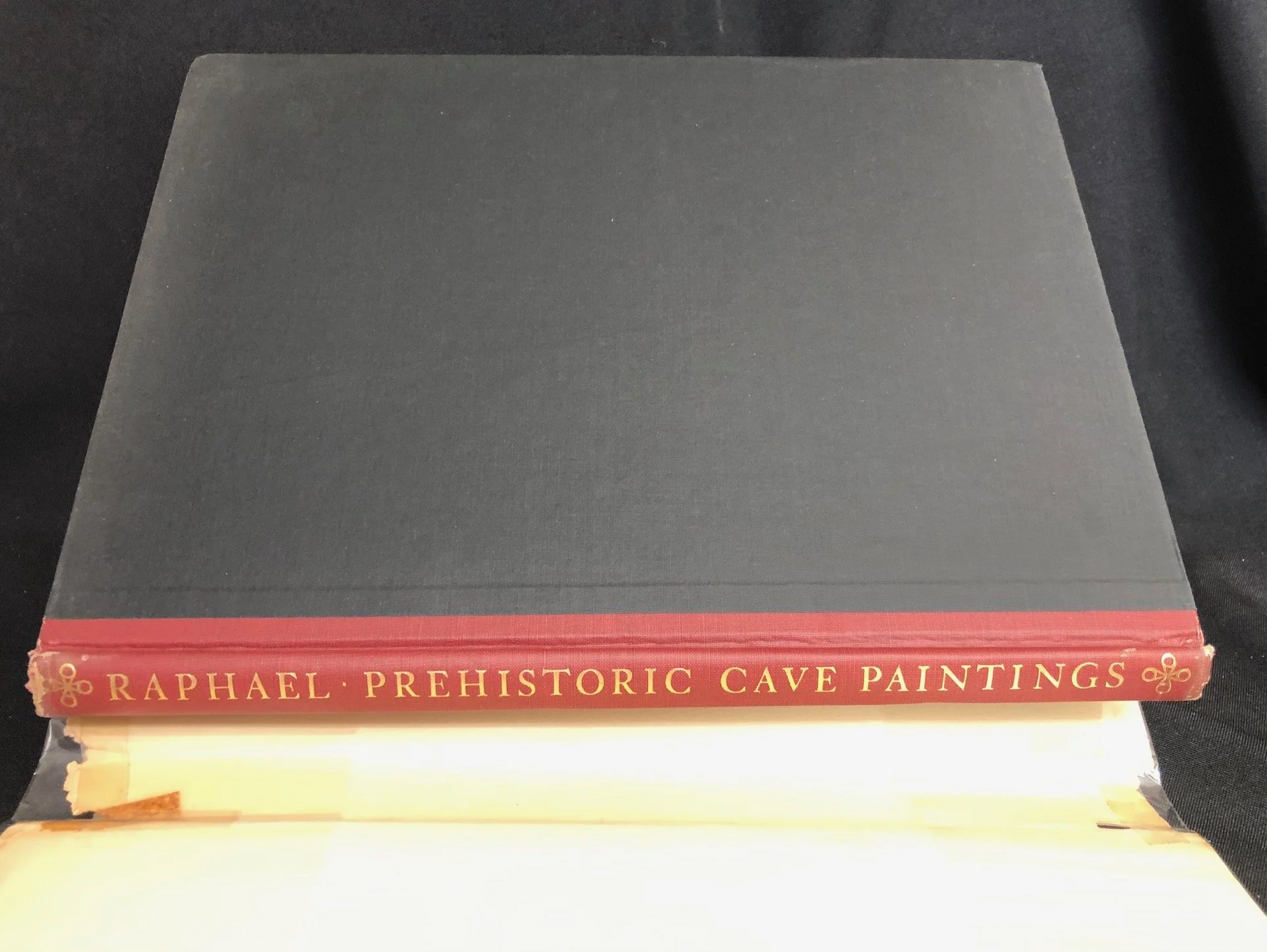 Prehistoric Cave Paintings 2.jpg