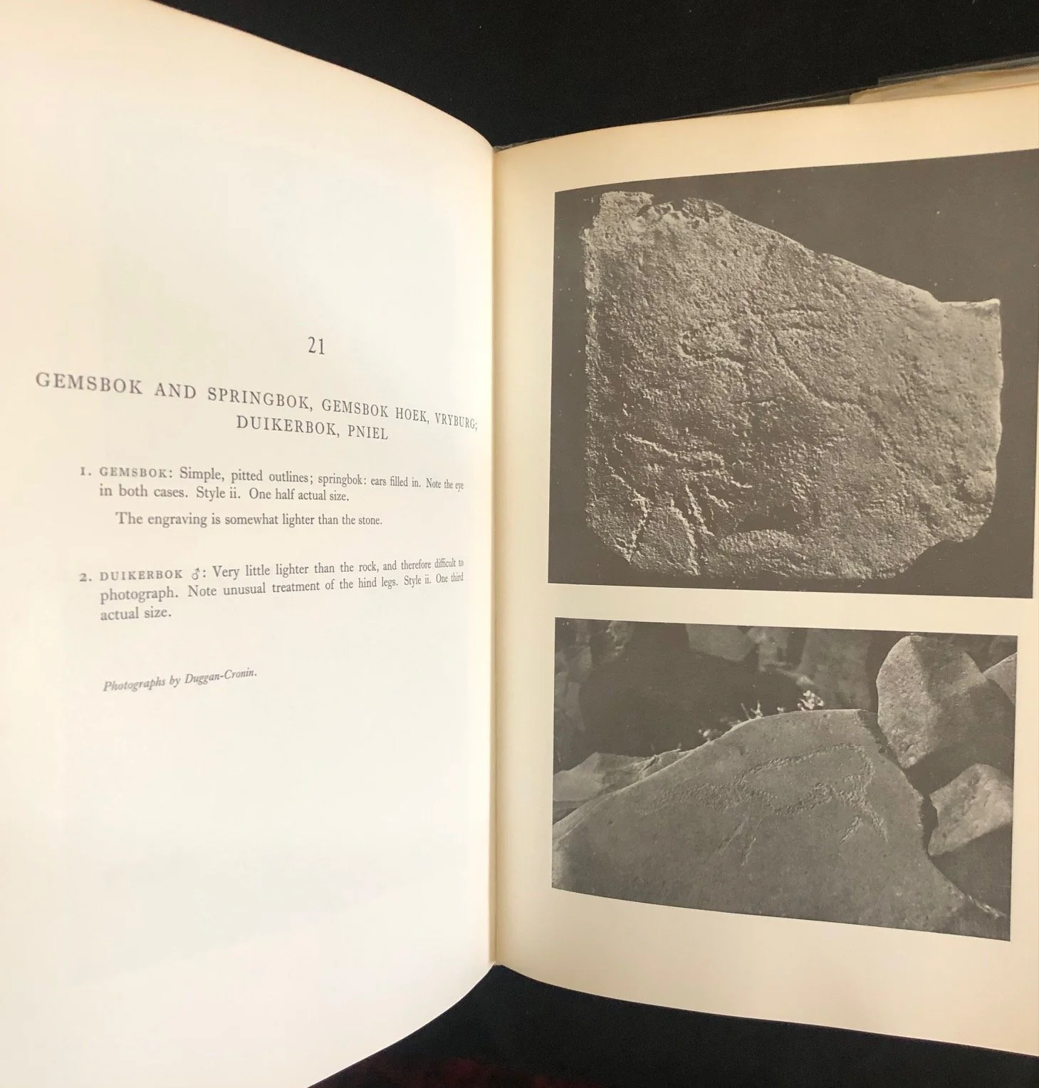 The Rock-Engravings of Griqualand West & Bechuanaland by Maria Wilman (1968)