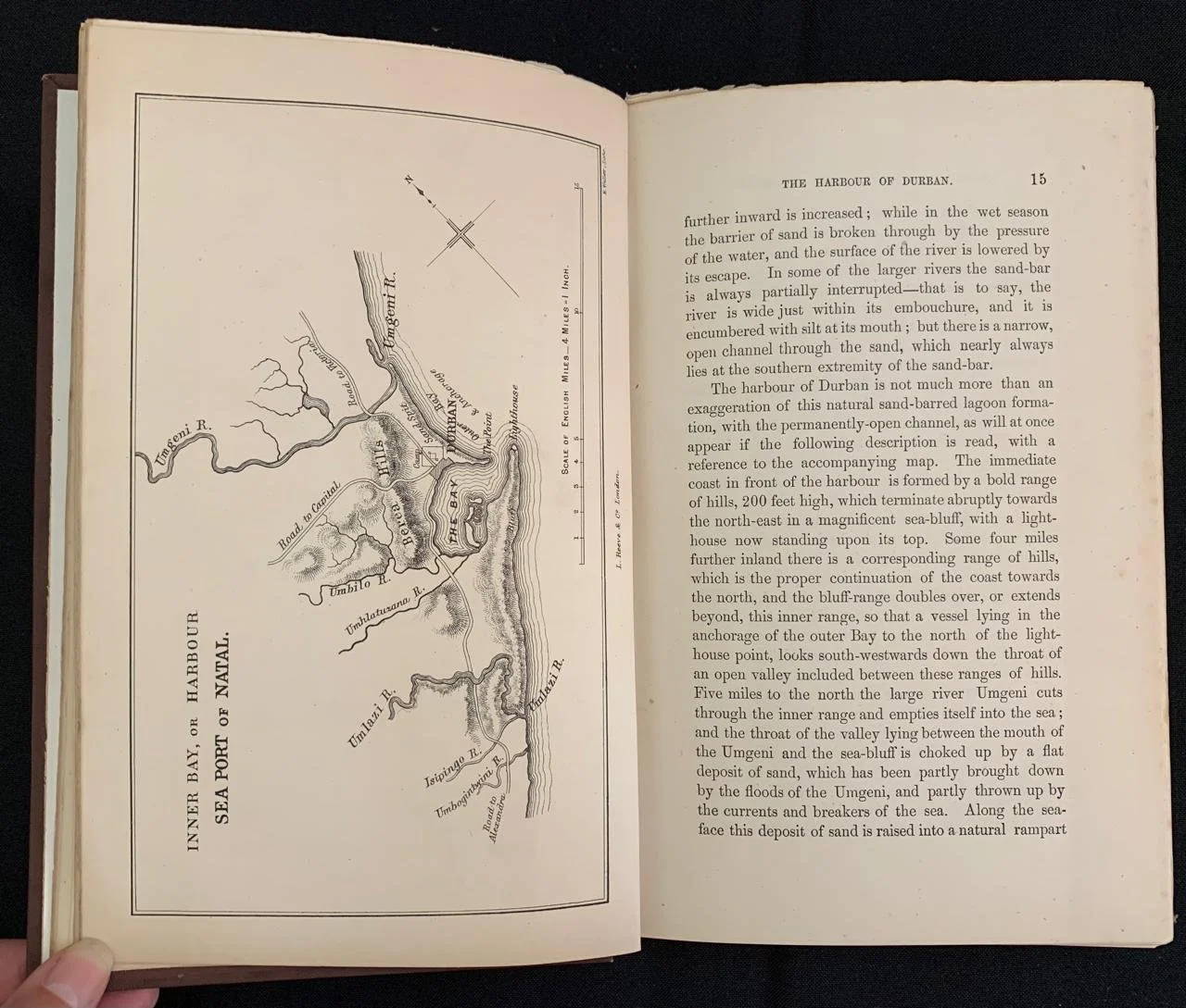 Natal by Henry Brooks 1876 9.jpeg