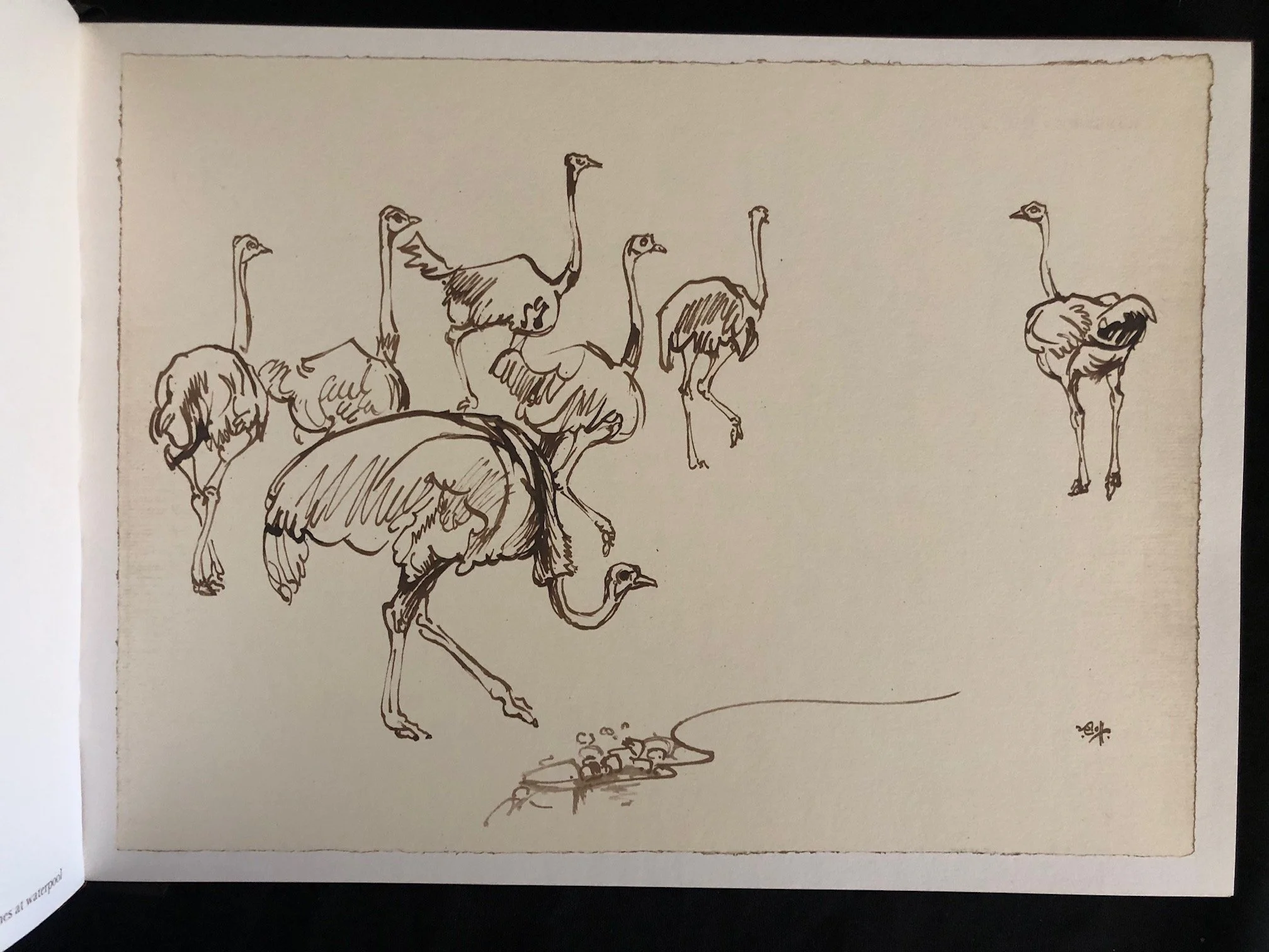 Drawn from Life (Zakkie Elof) 7.jpg