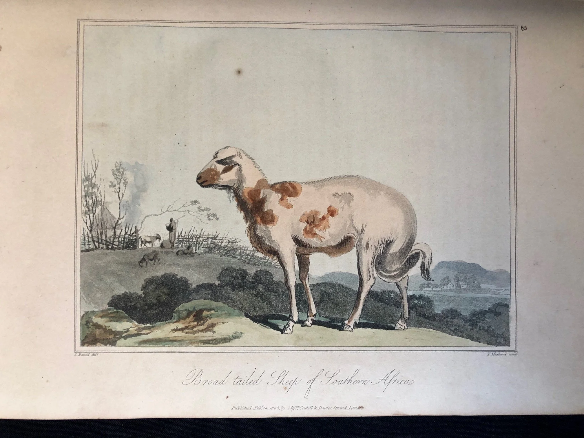 An Account of Travels into the interior of Southern Africa 10.jpg