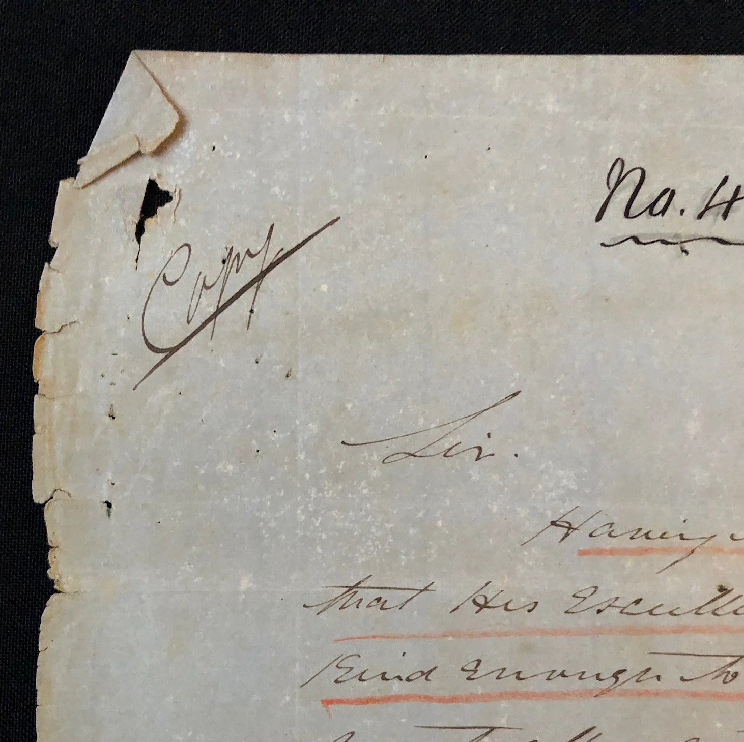 Land grant: Idutywa (Transkei region, Eastern Cape) 1864