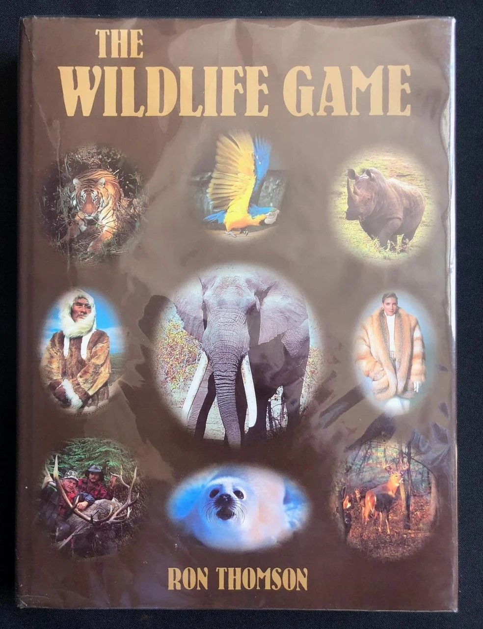 The wildlife game 3.jpeg