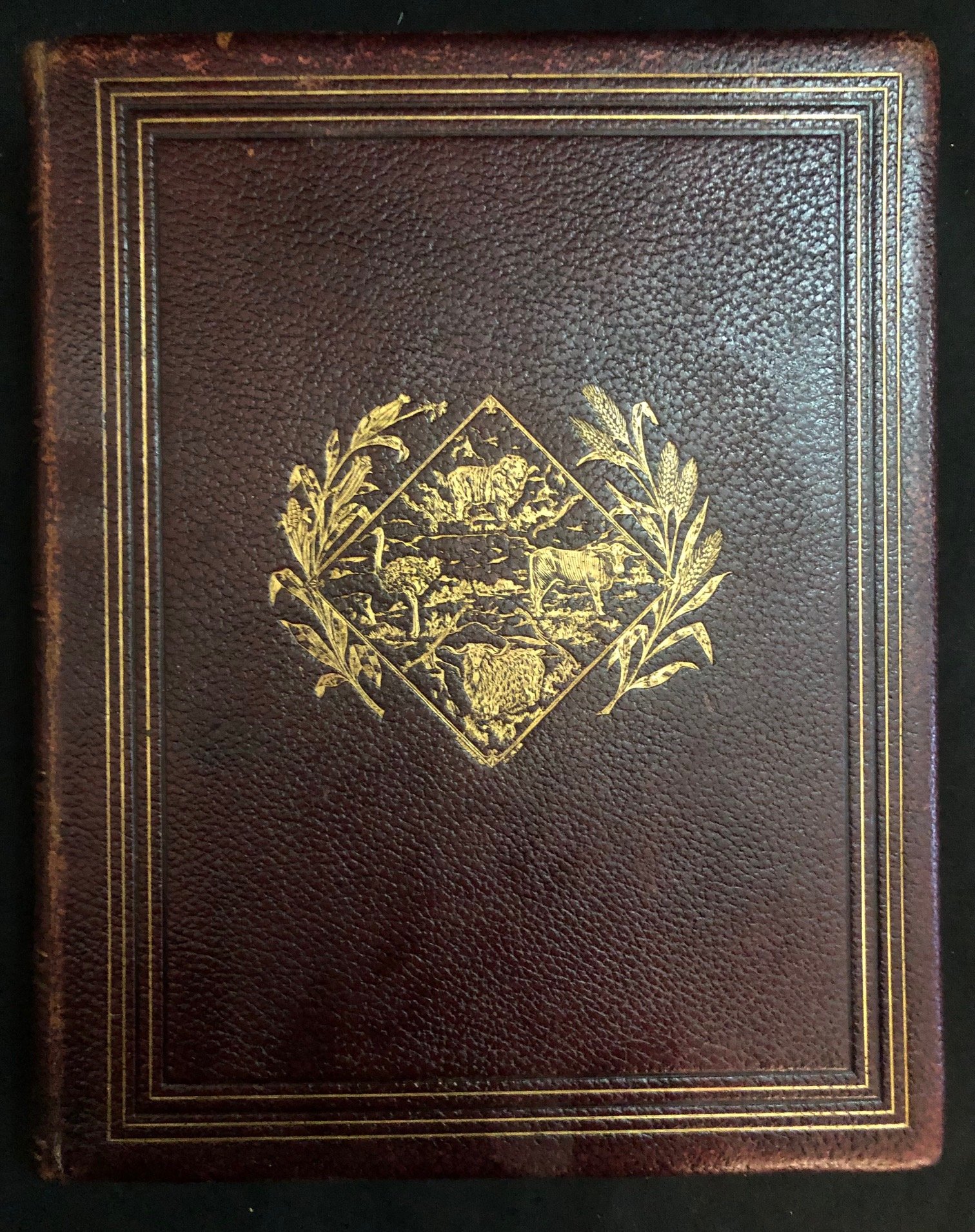 Somerset Playne’s Cape Colony 3.jpg