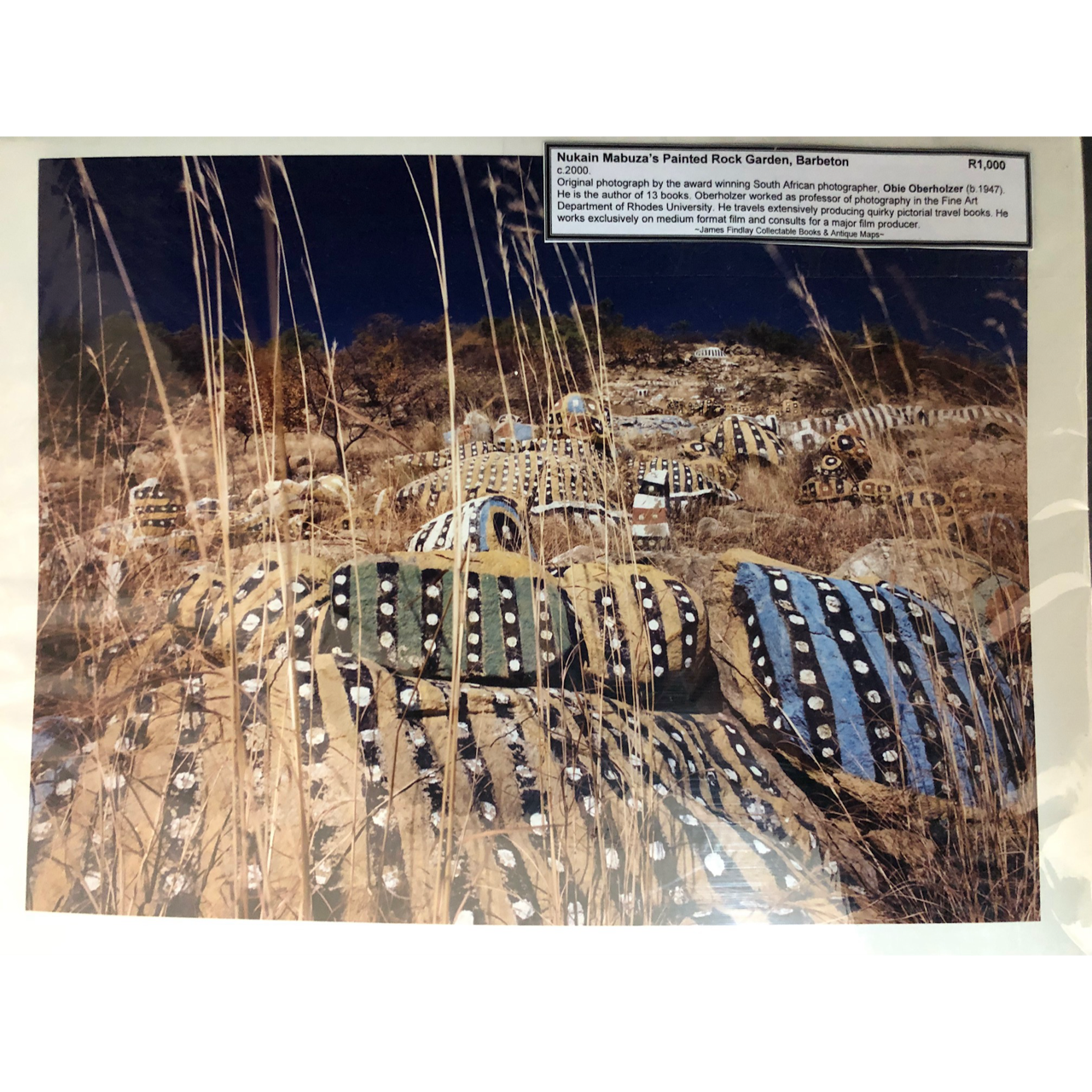 Obie Oberholzer: Nukain Mabuza’s Painted Rock Garden (2) R1,000
