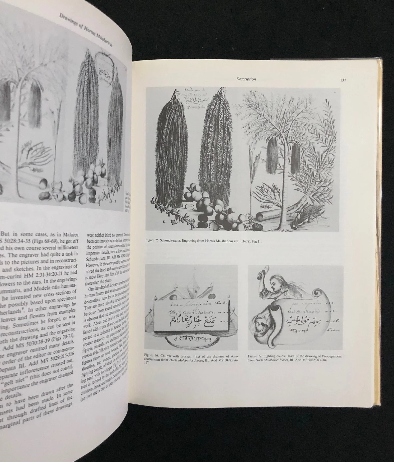 A Contribution to the History of Dutch Colonial Botany (1986)