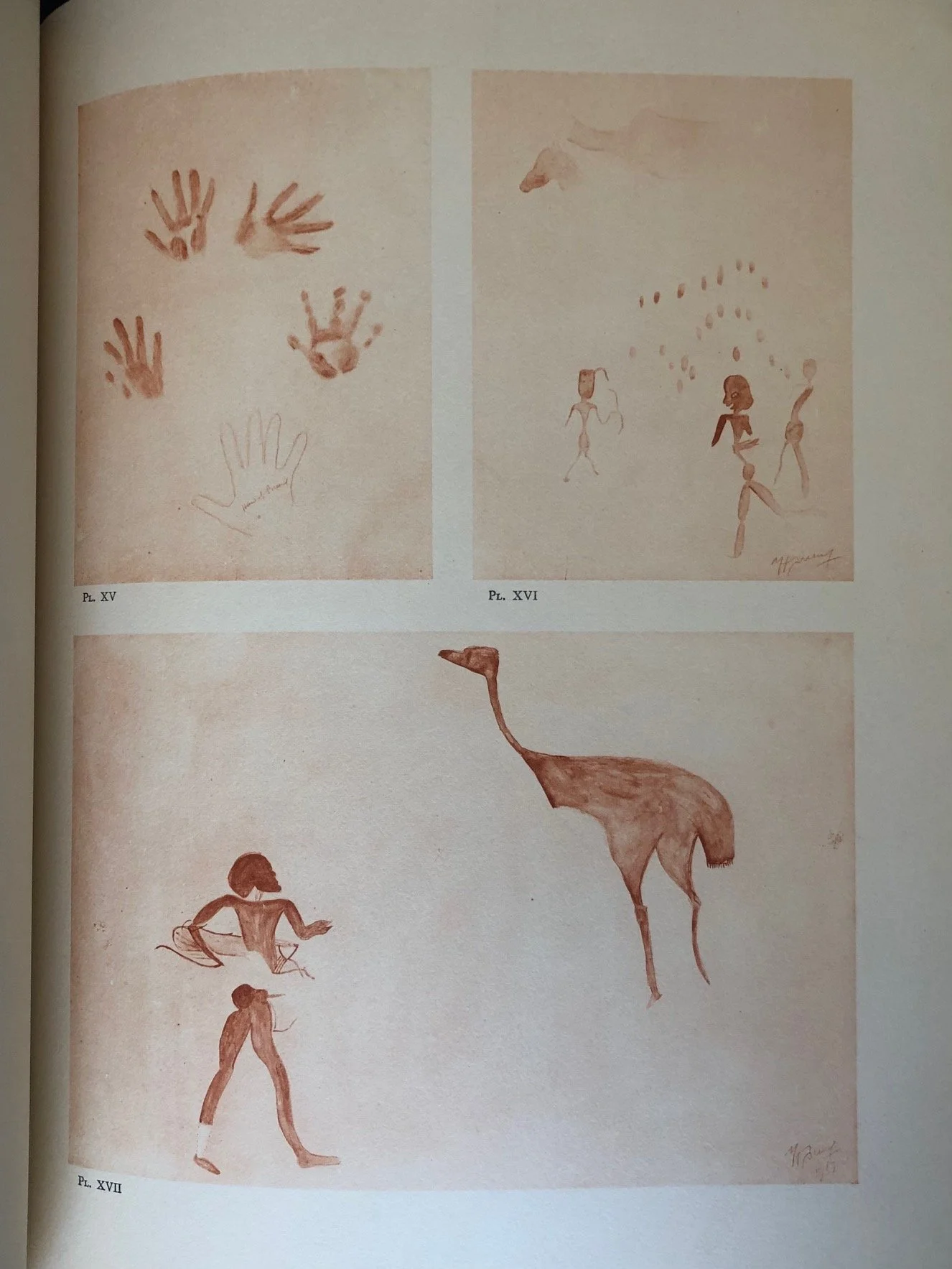 Phillipp Cave de luxe edition 9.jpg