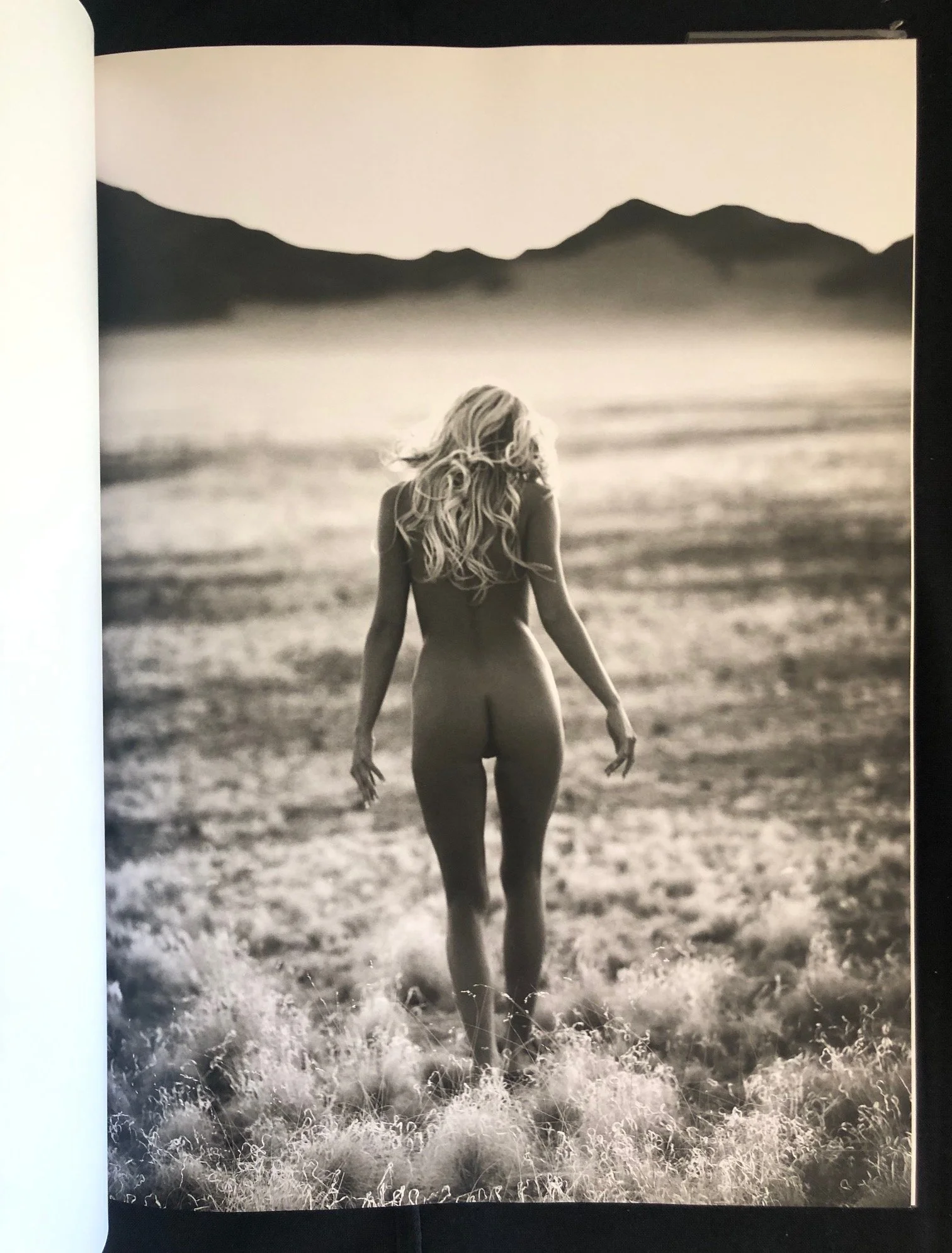 Frank de Mulder 3.jpg