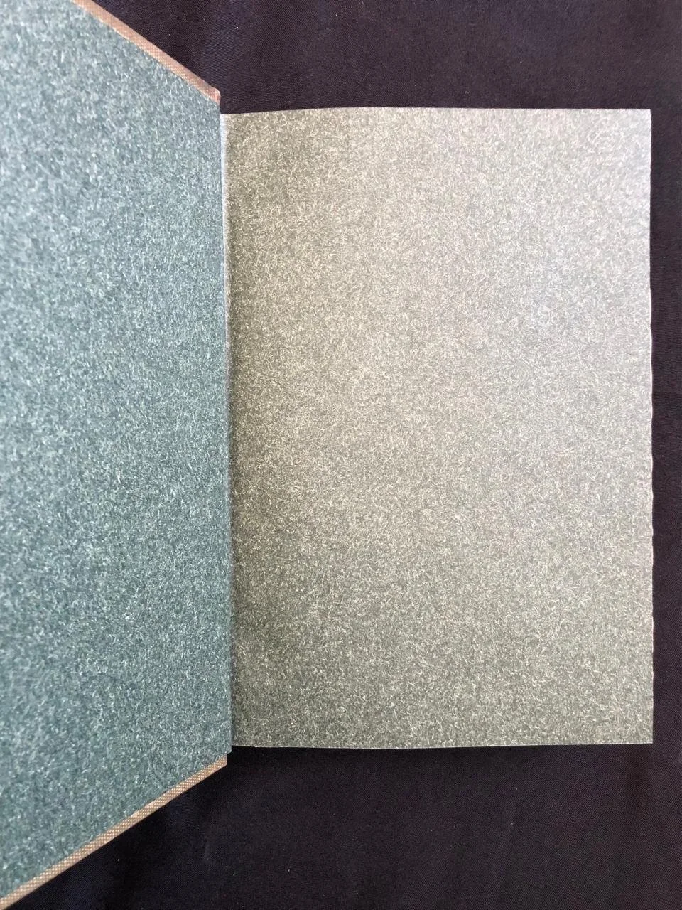 Fighting the Polar Ice 3.jpg