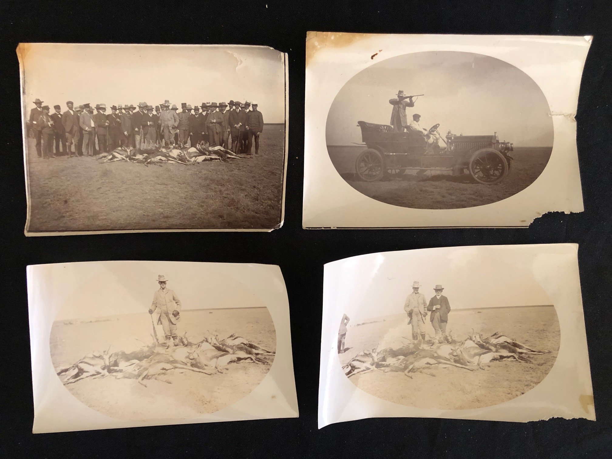 Hunting Party of Dom Luís Filipe, Prince Royal of Portugal. Southern Africa 1907 (11)