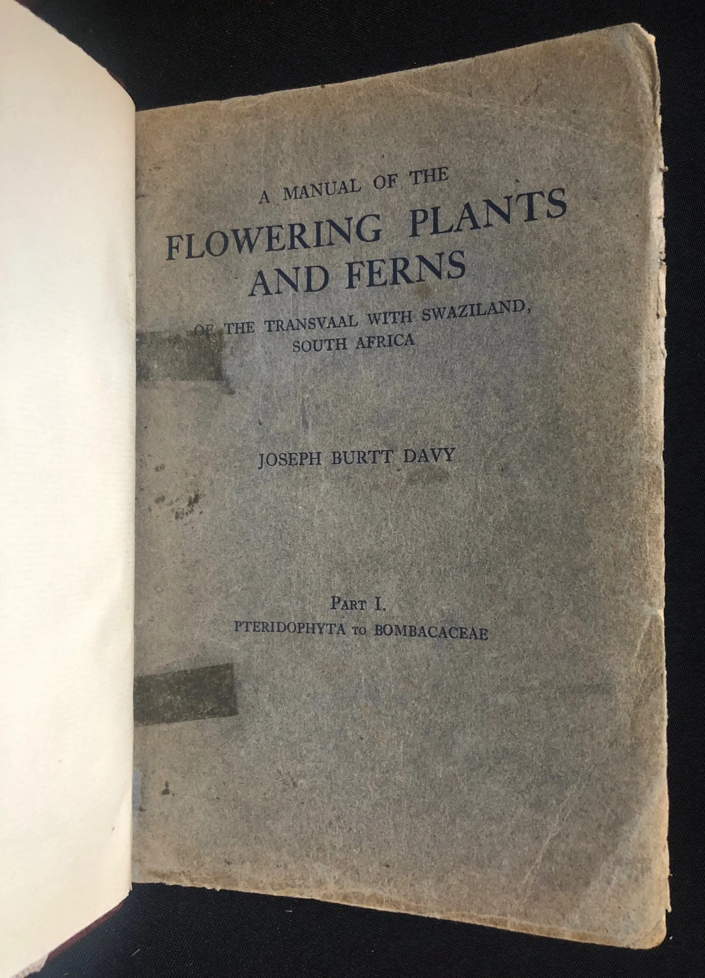 Flowering Plants and Ferns 3.jpg