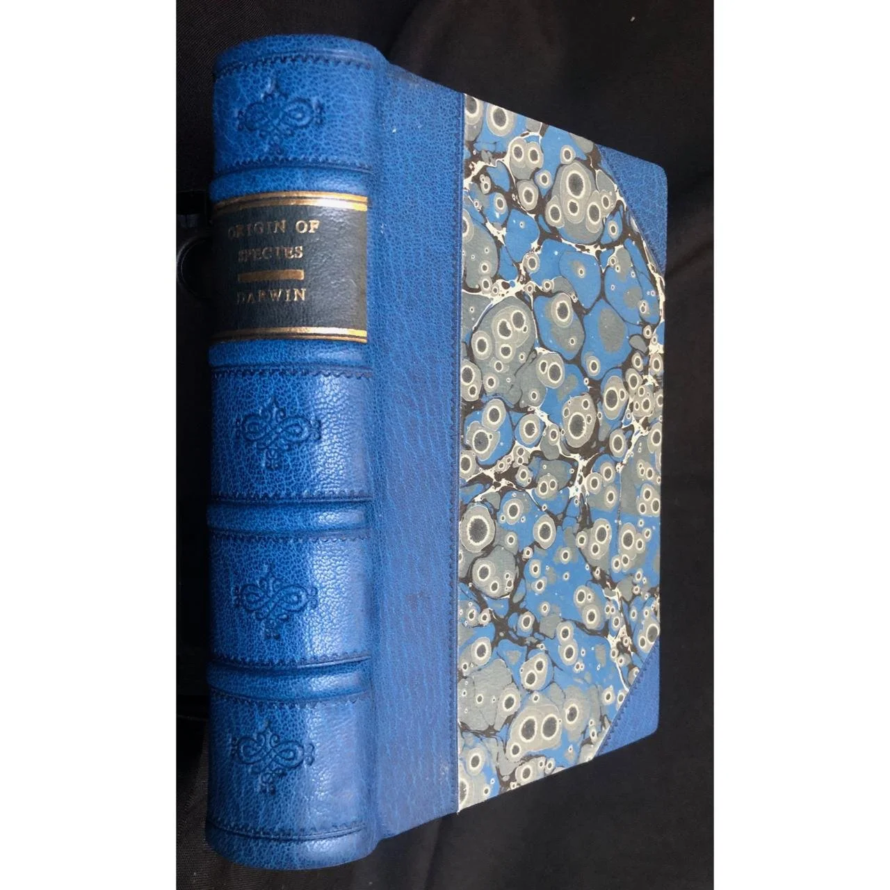 The Origin of Species by Charles Darwin (1876) Sold Jan '26