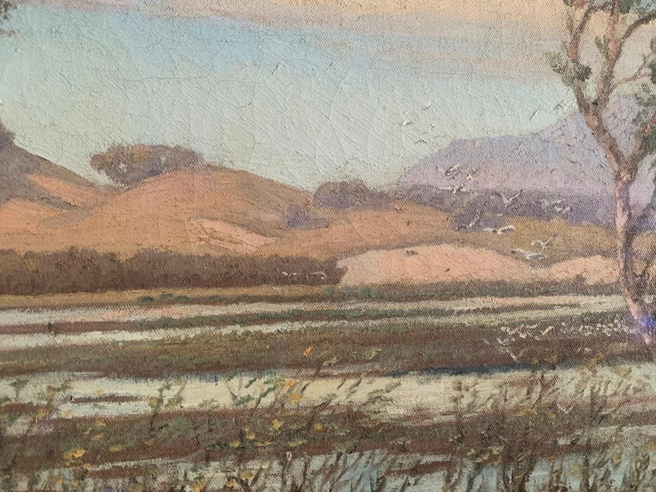 Isipingo Lagoon 5.jpeg