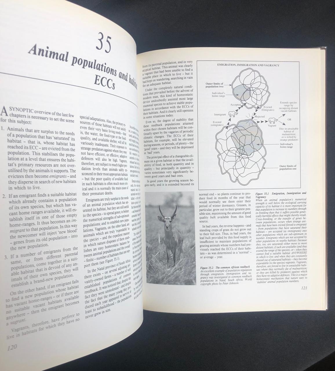 The wildlife game 5.jpeg