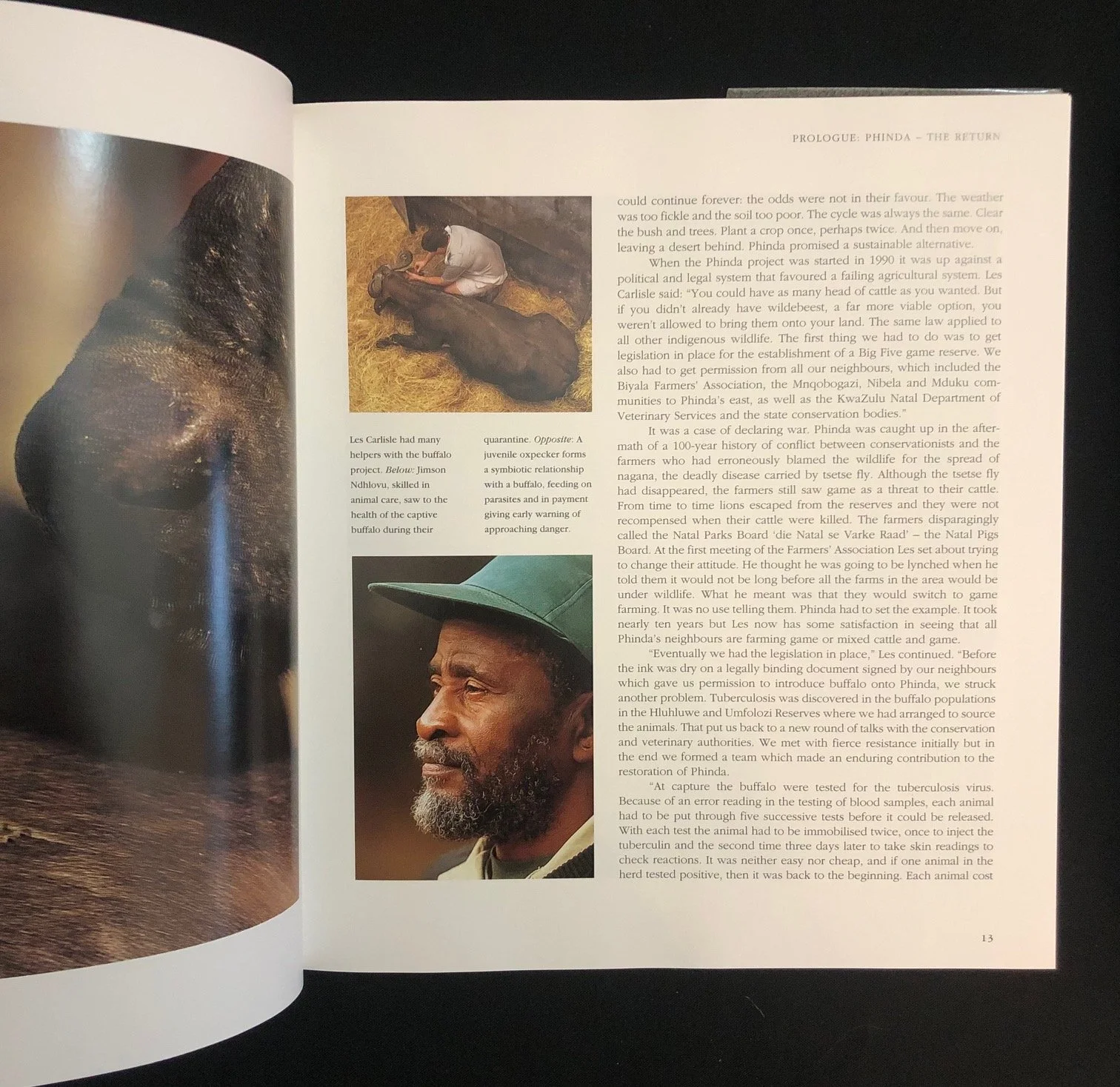 The Return: The Story of Phinda Game Reserve by Shan Varty and Molly Buchanan (1999)