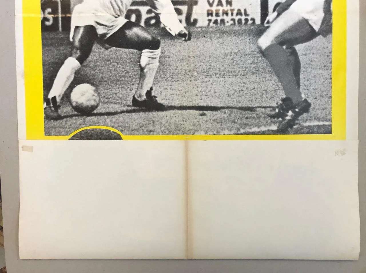 Giants of Brazil 4.jpeg