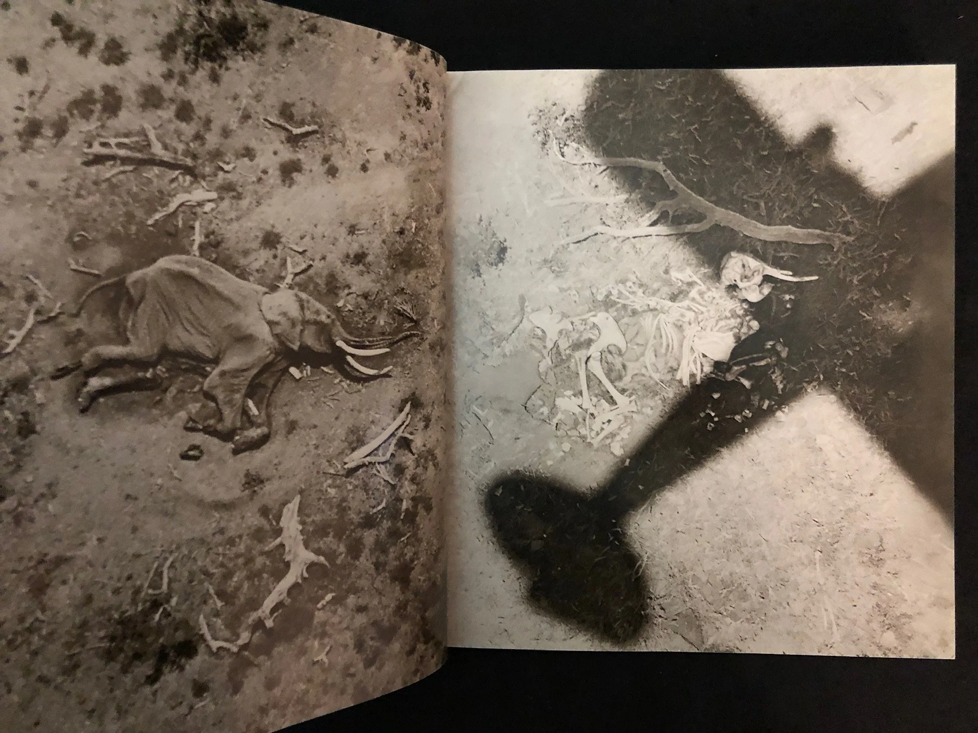 Peter Beard’s The End of the Game (1988)