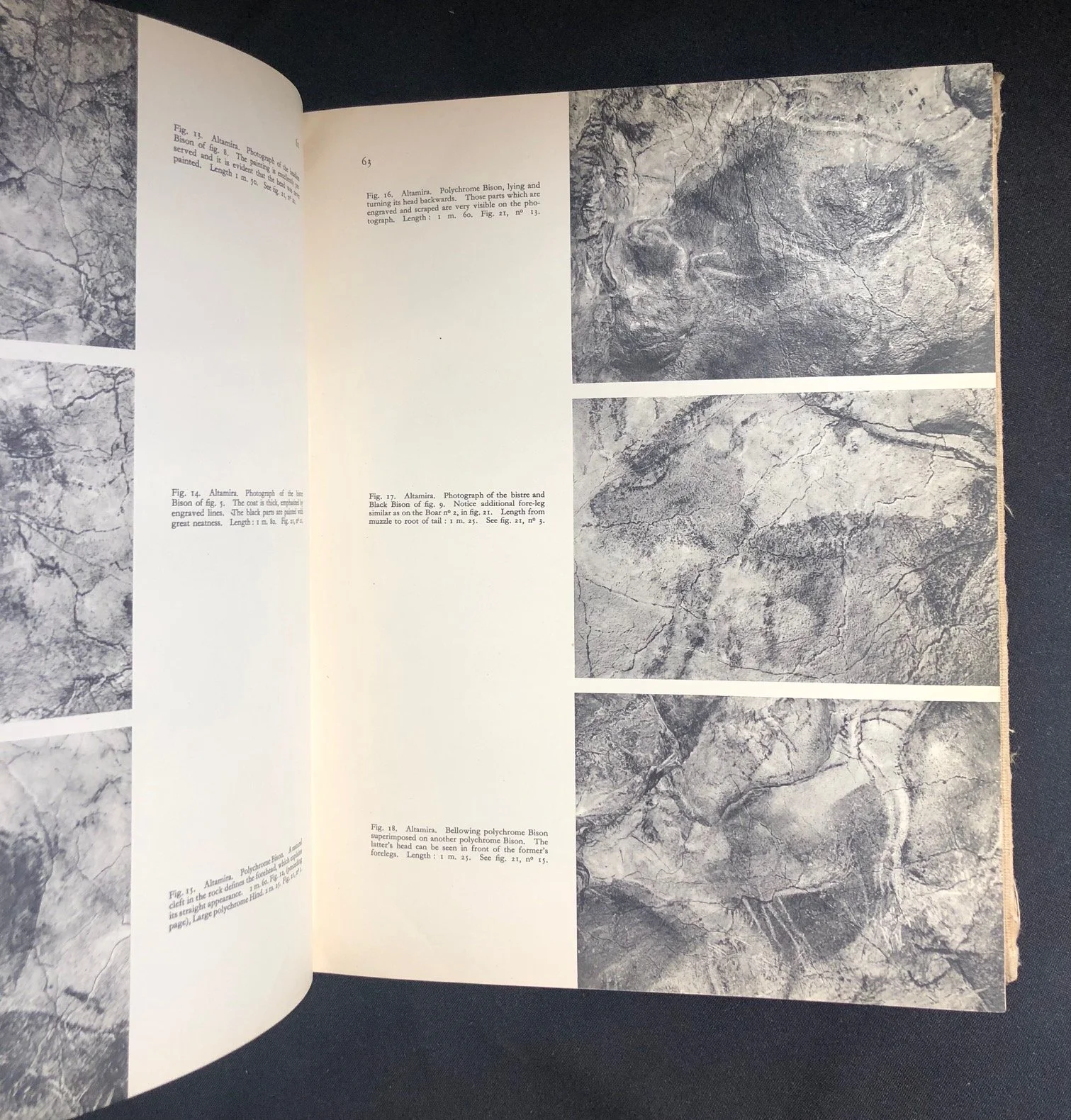 Four Hundred Centuries of Cave Art 10.jpg