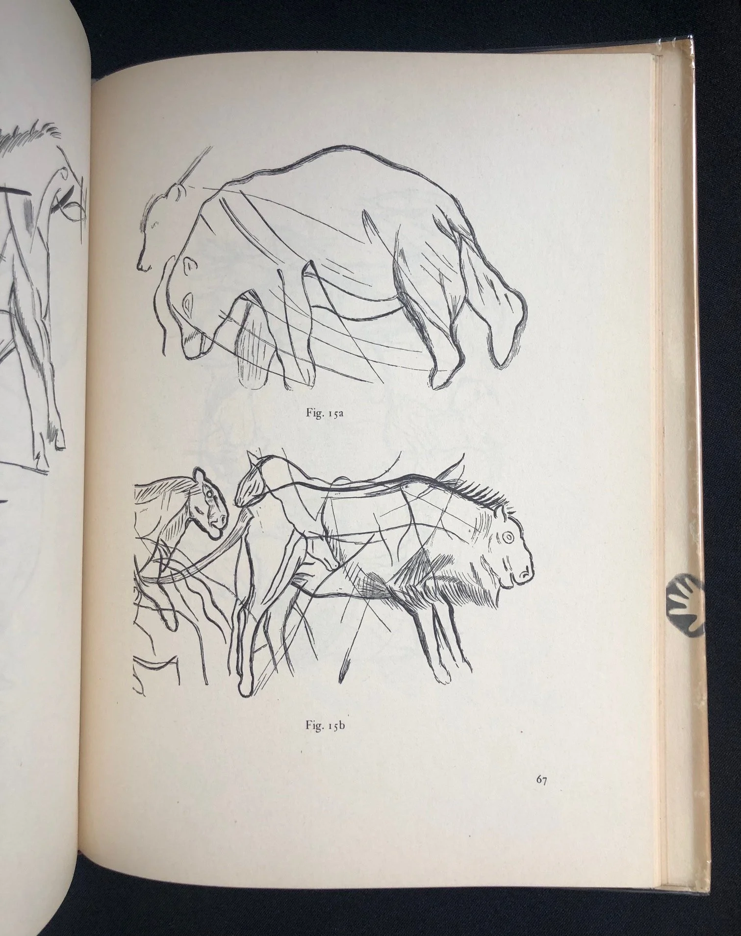 Prehistoric Cave Paintings 6.jpg