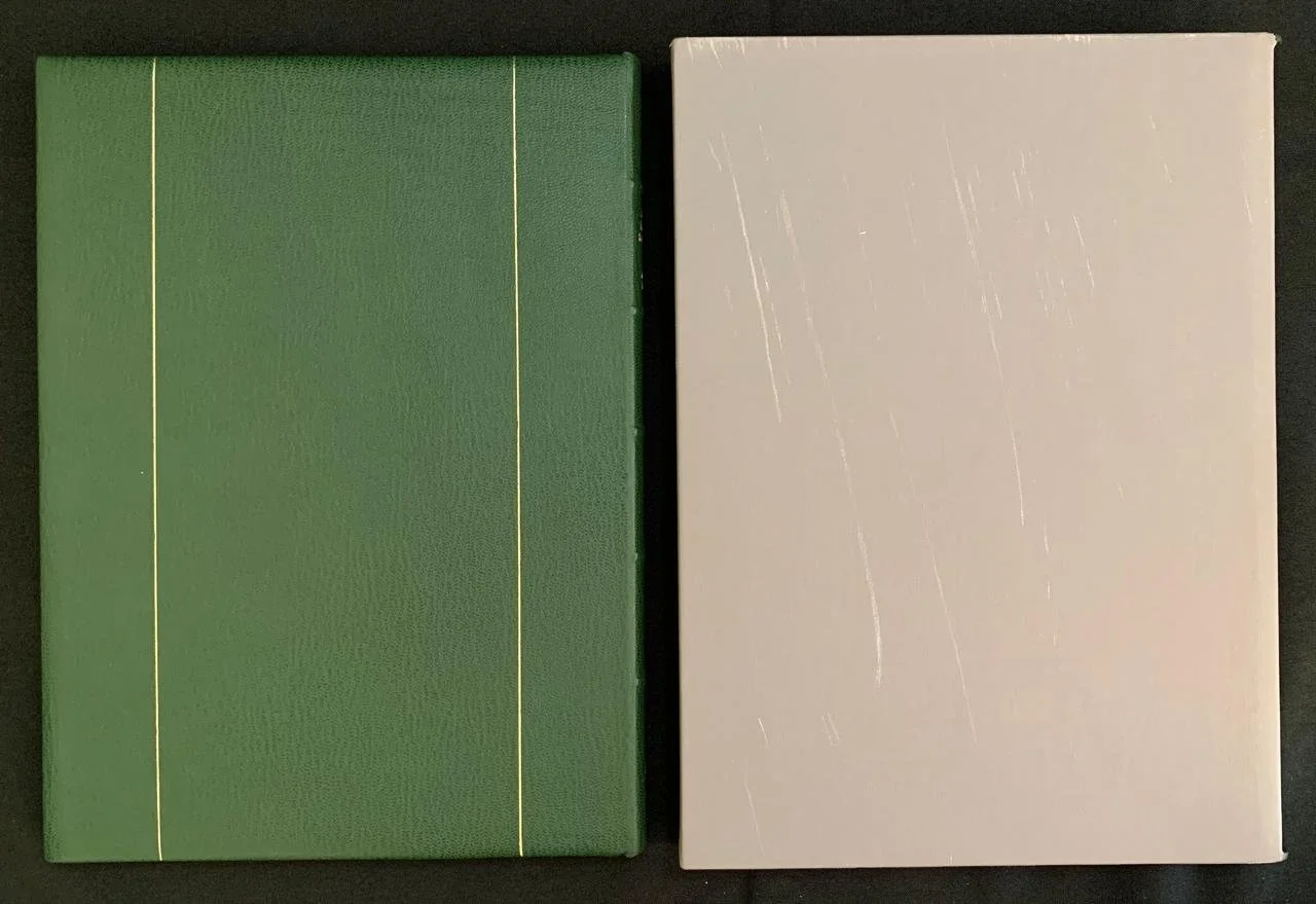 South African Botanical Art by Marion Arnold 4.jpeg