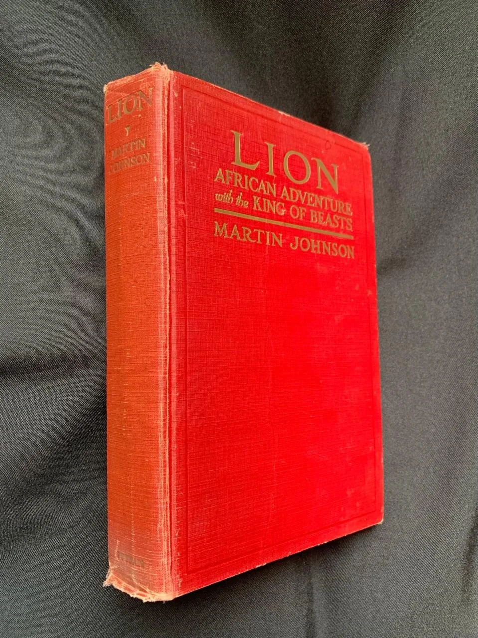 Lion (1929) 2.jpeg