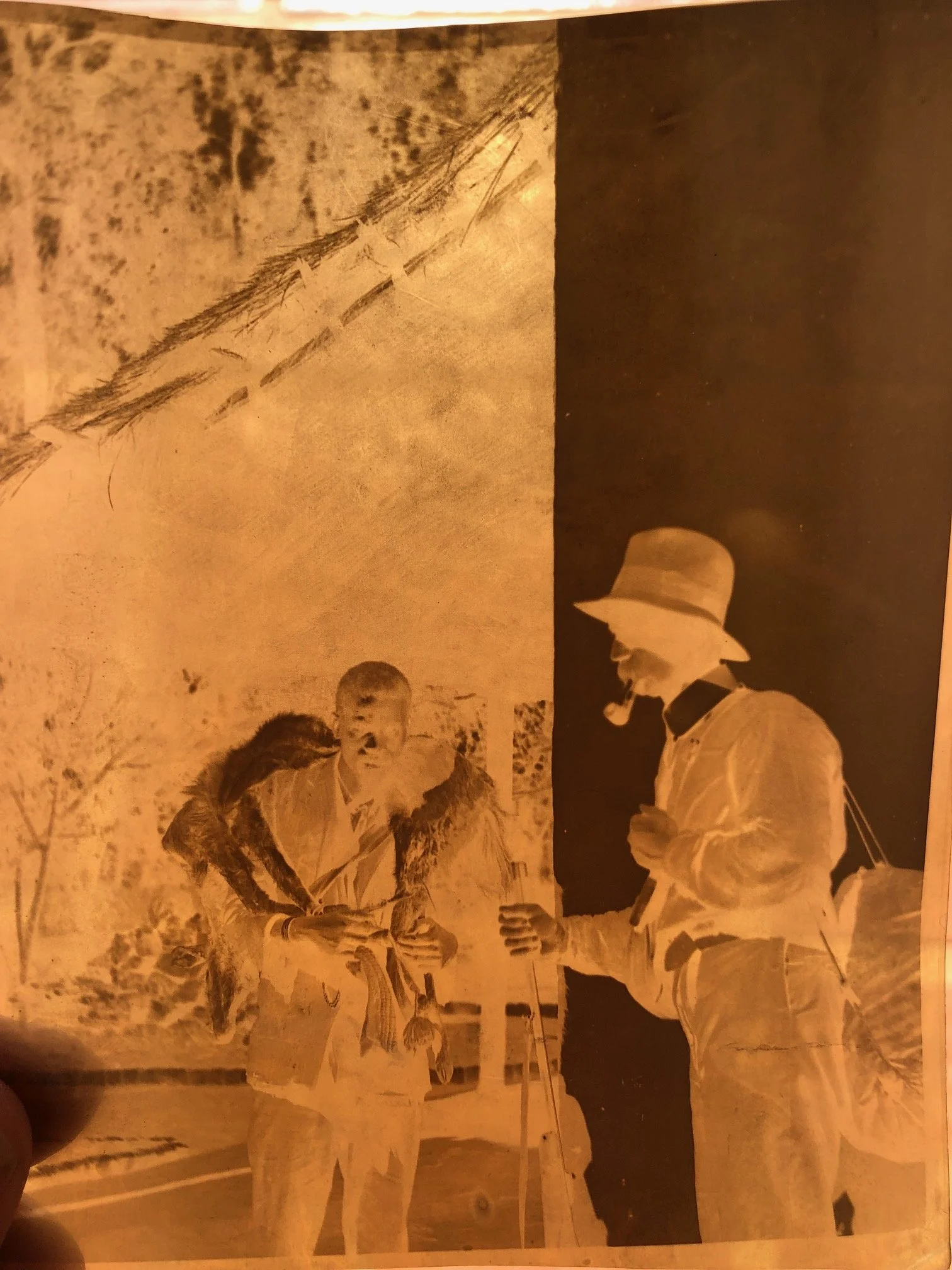 Negatives Relating to Hunting 3.jpg