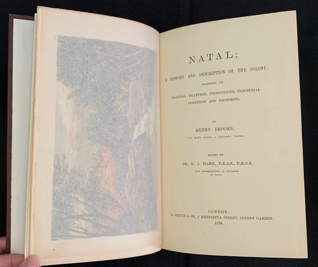 Natal by Henry Brooks 1876 5.jpeg
