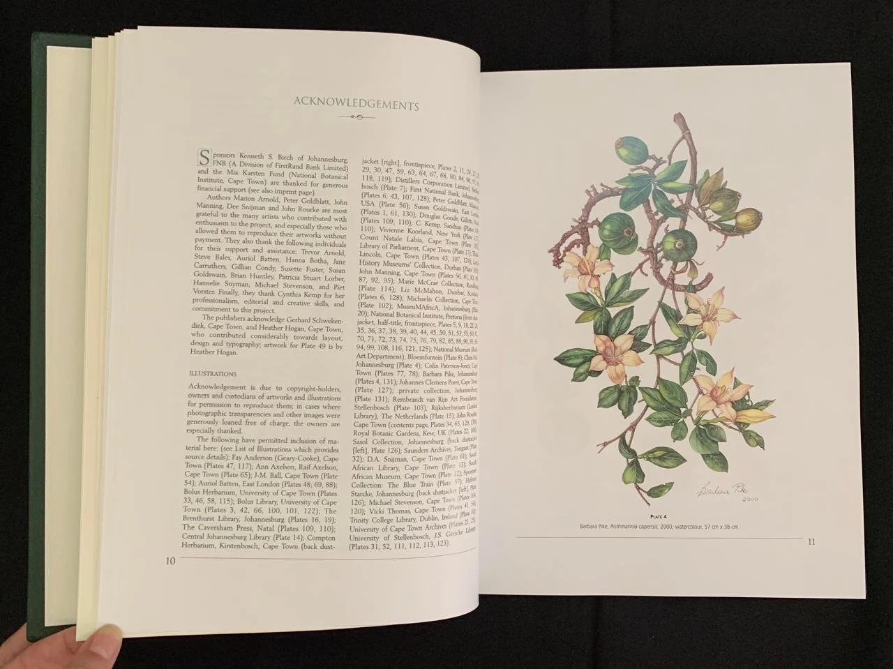 South African Botanical Art by Marion Arnold 12.jpeg