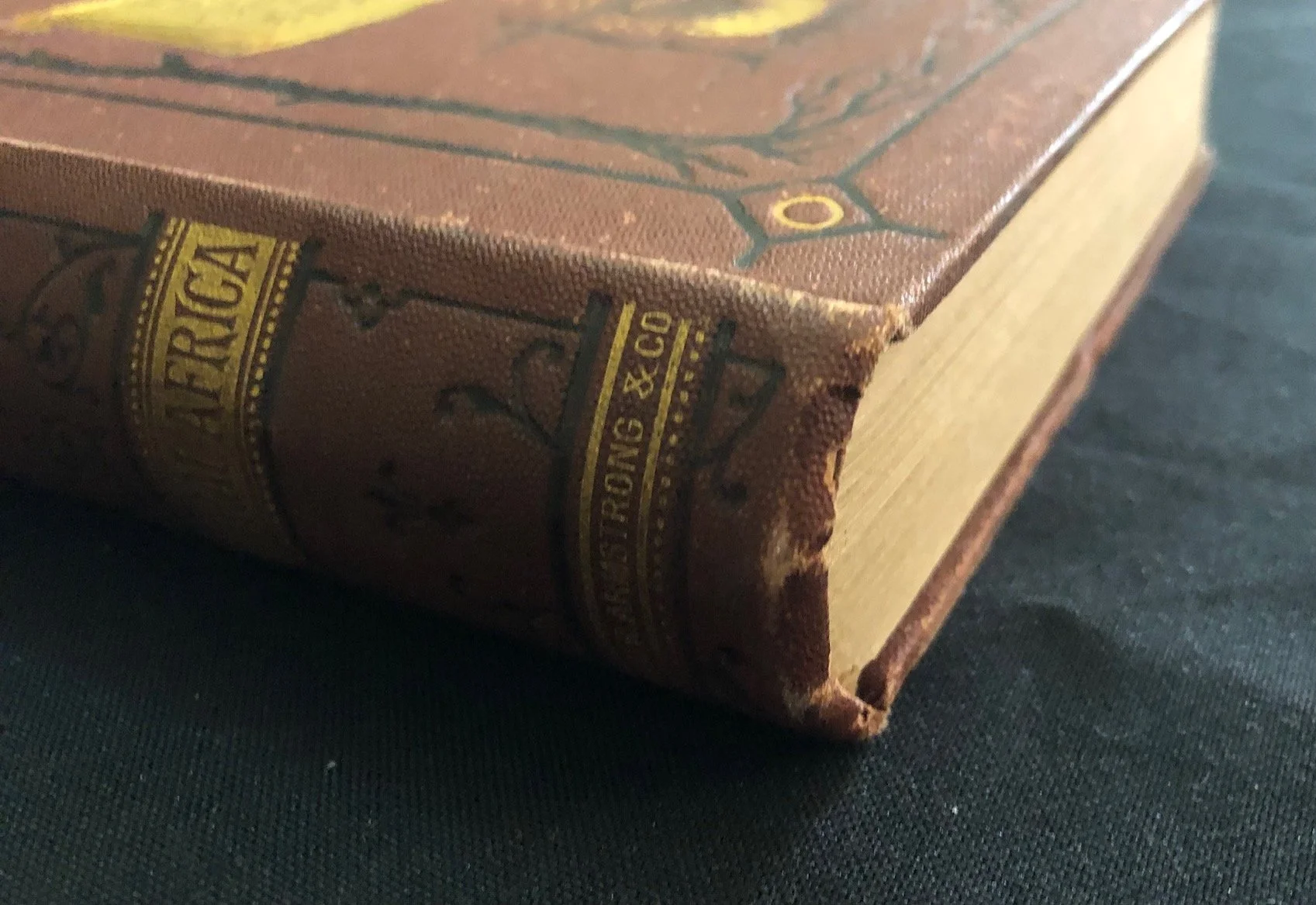 The Lake Regions of Central Africa by Bayard Taylor (1874)