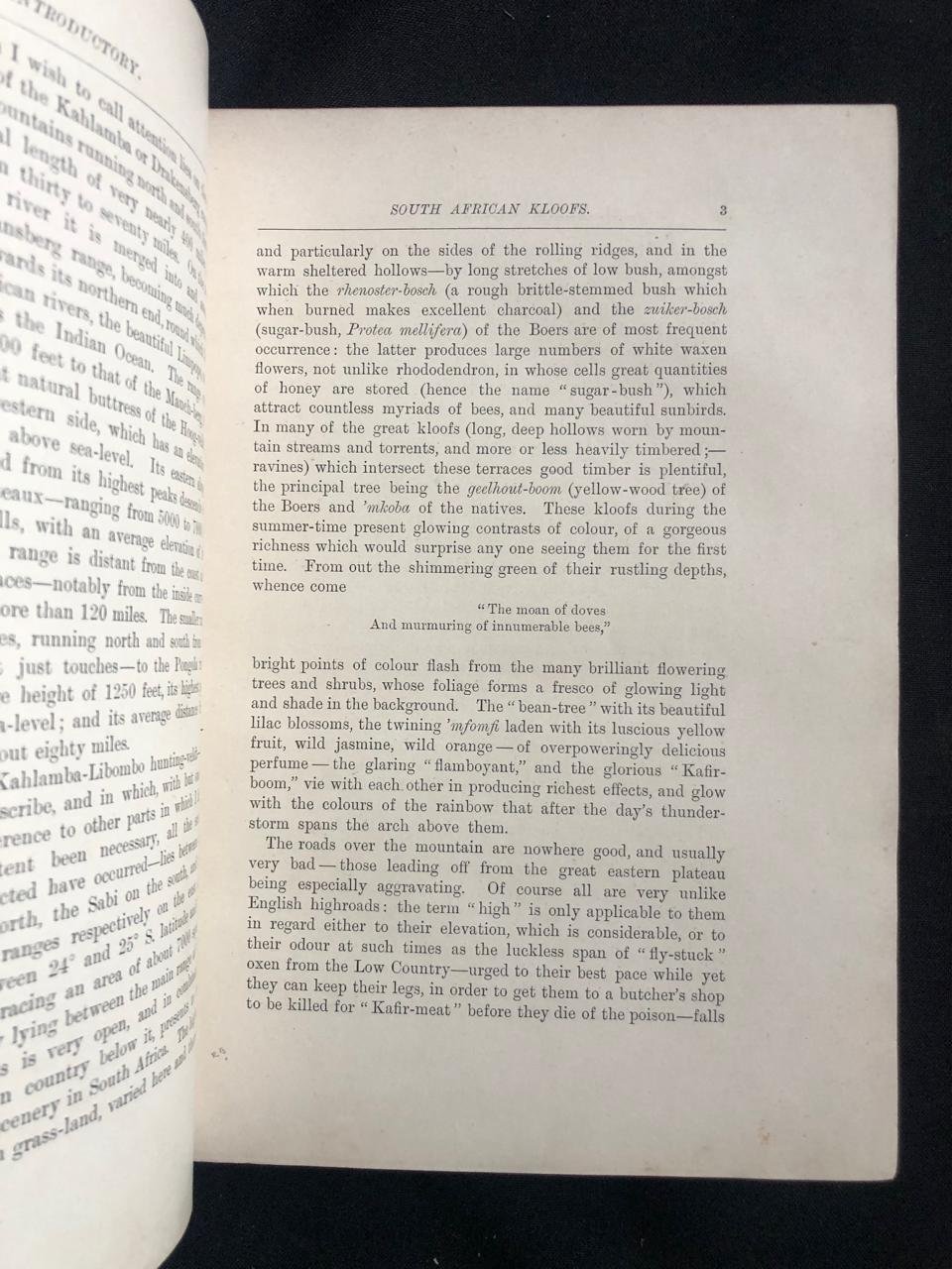 In Haunts of Wild Game (1896) 6.jpeg