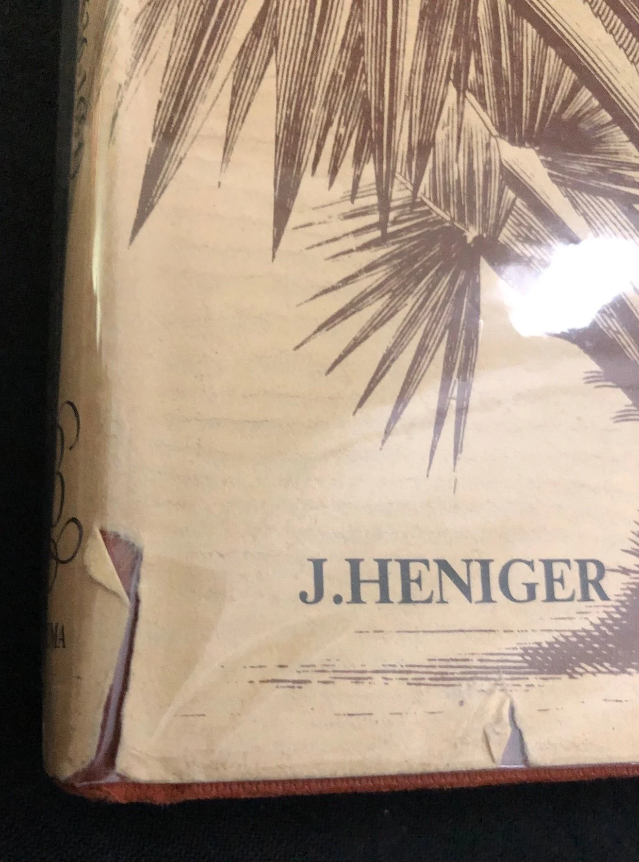 A Contribution to the History of Dutch Colonial Botany (1986)