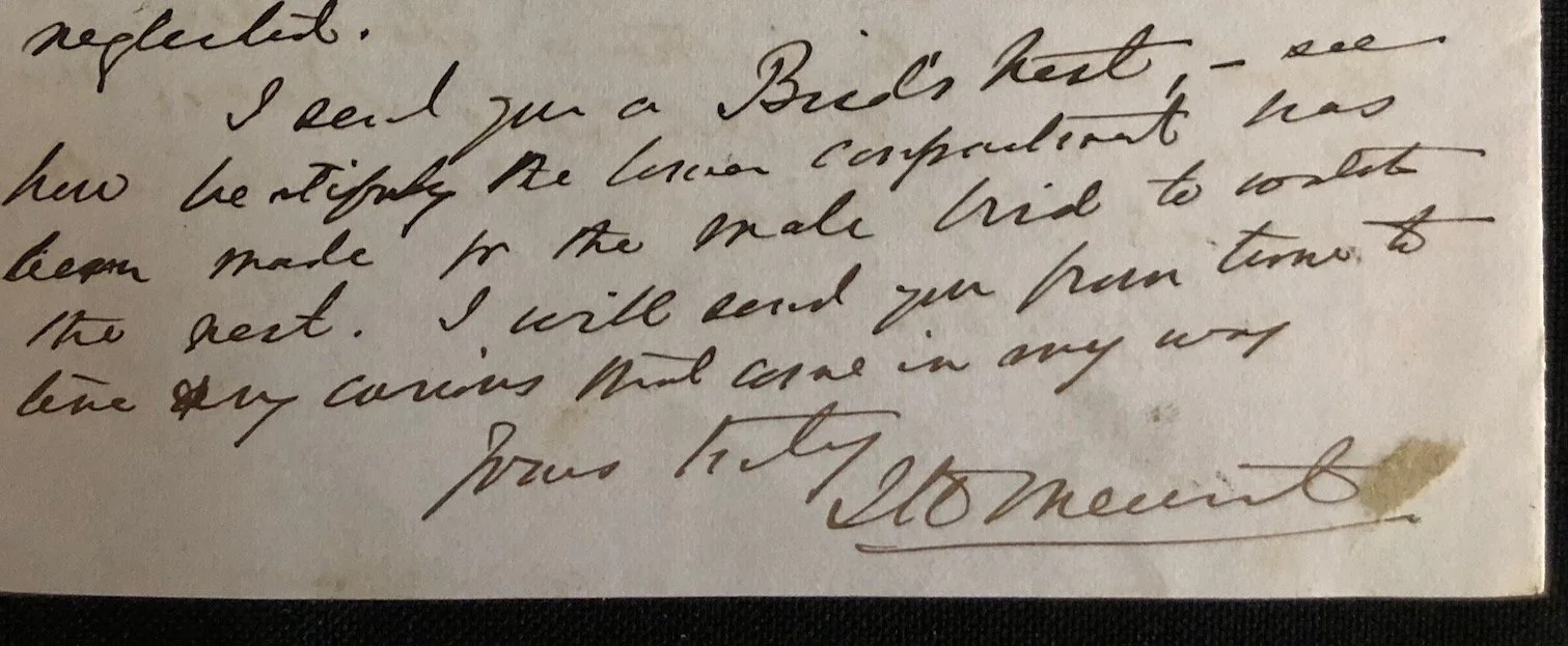 Letter to Charles Aken Fairbridge Regarding Dutch (Afrikaans) an official language in 1875