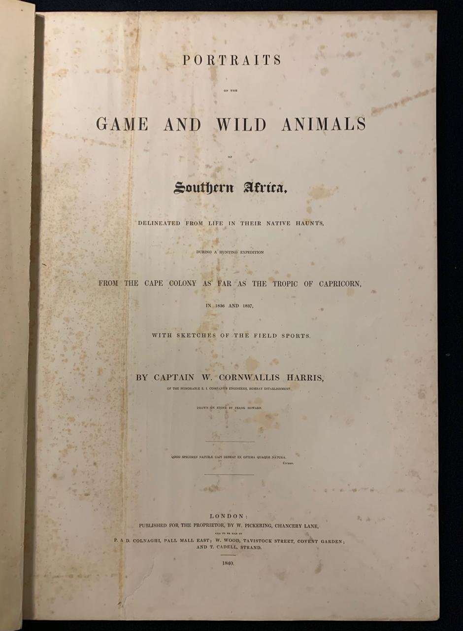 Portraits of the Game and Wild Animals 8.jpg