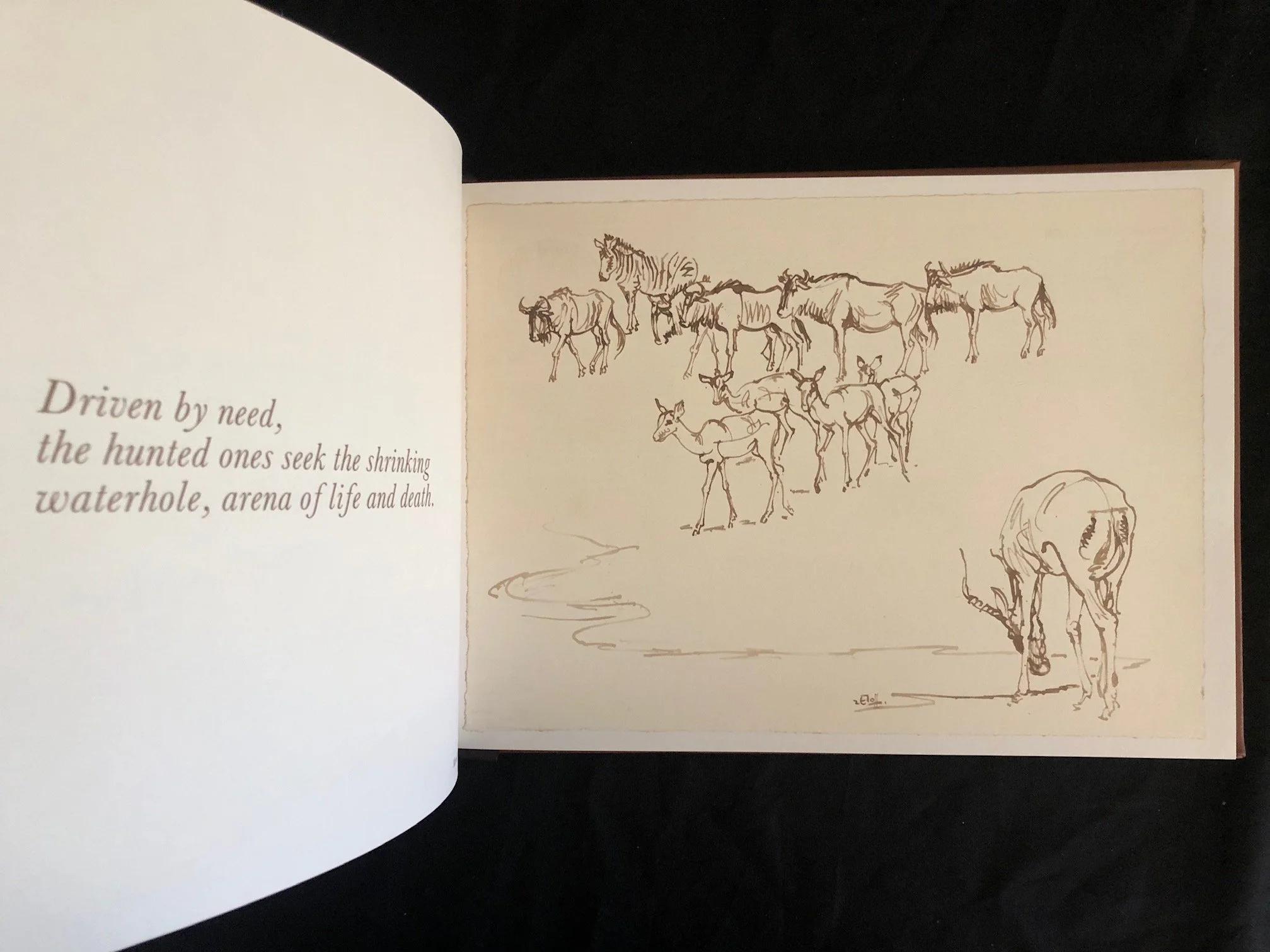 Drawn from Life (Zakkie Elof) 8.jpg