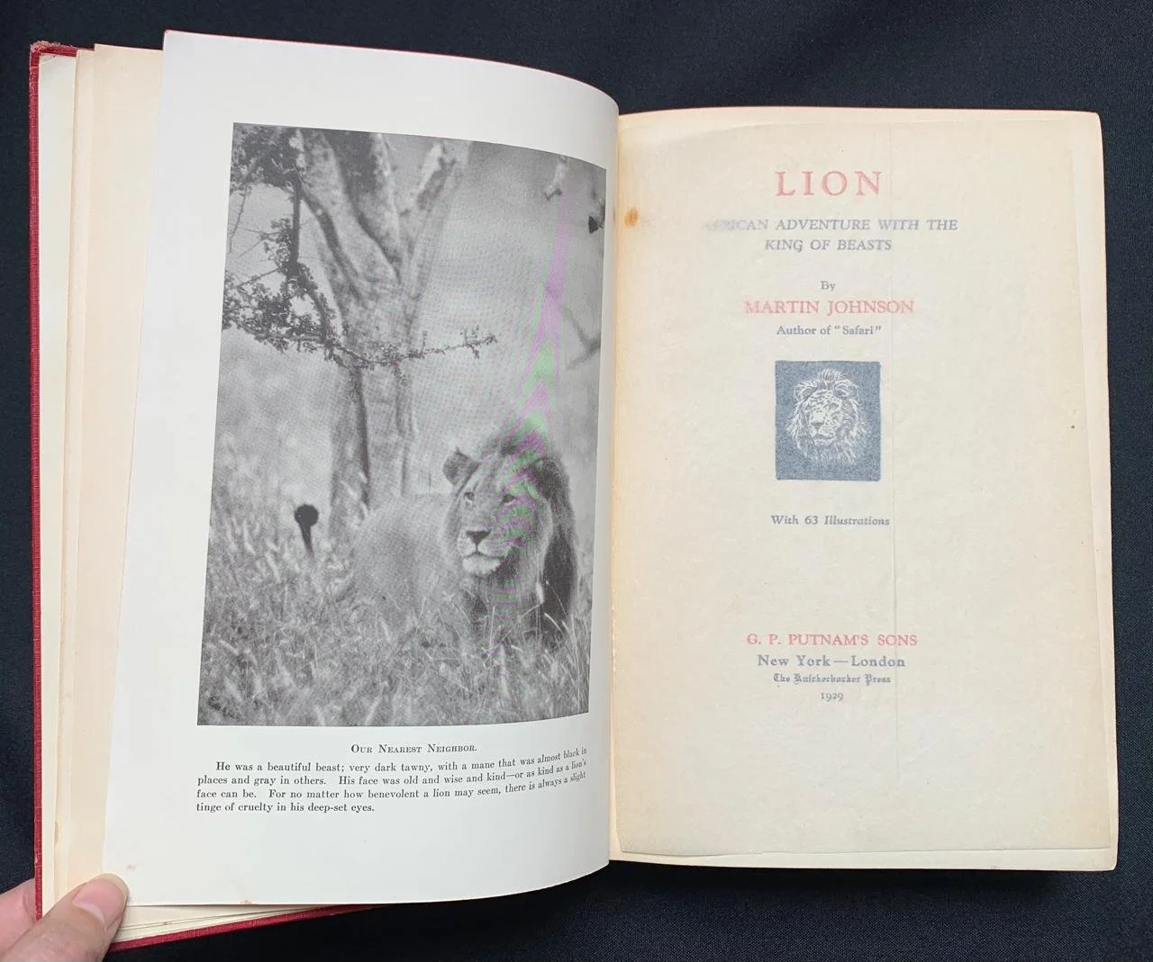 Lion (1929) 6.jpeg