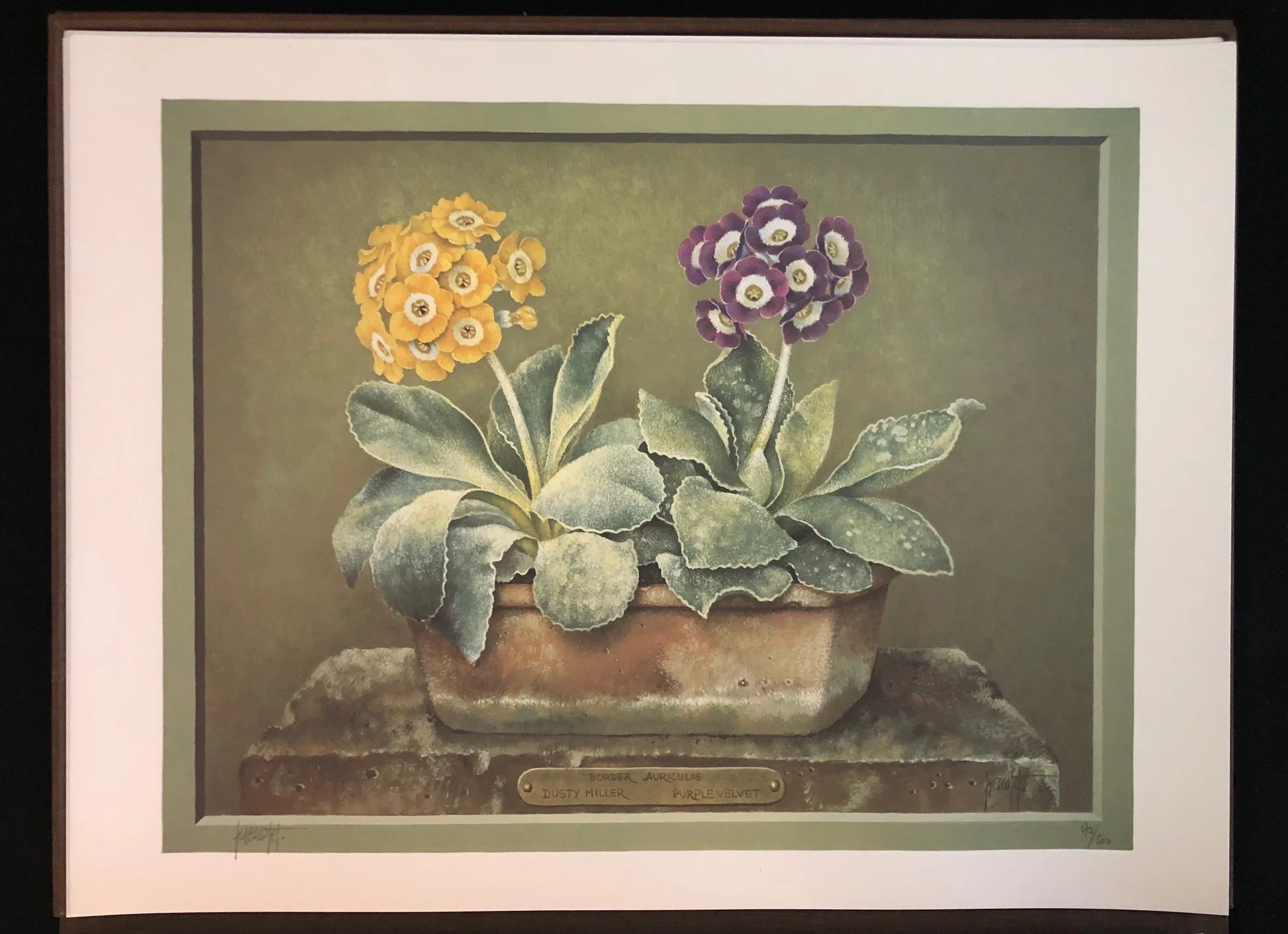 The Auricula by José Escofet 1990 limited edition