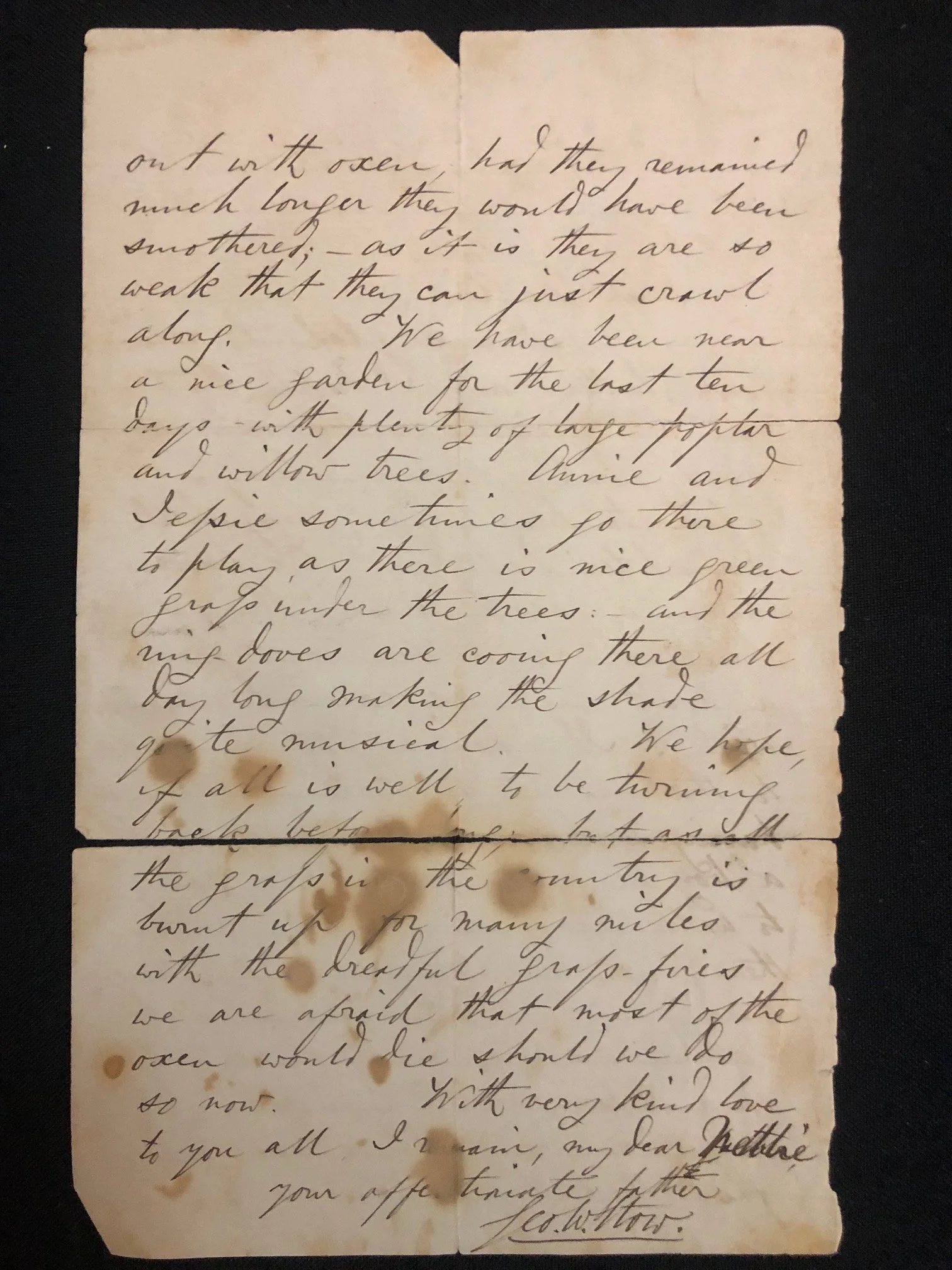 Letters by George William Stow 2.jpg