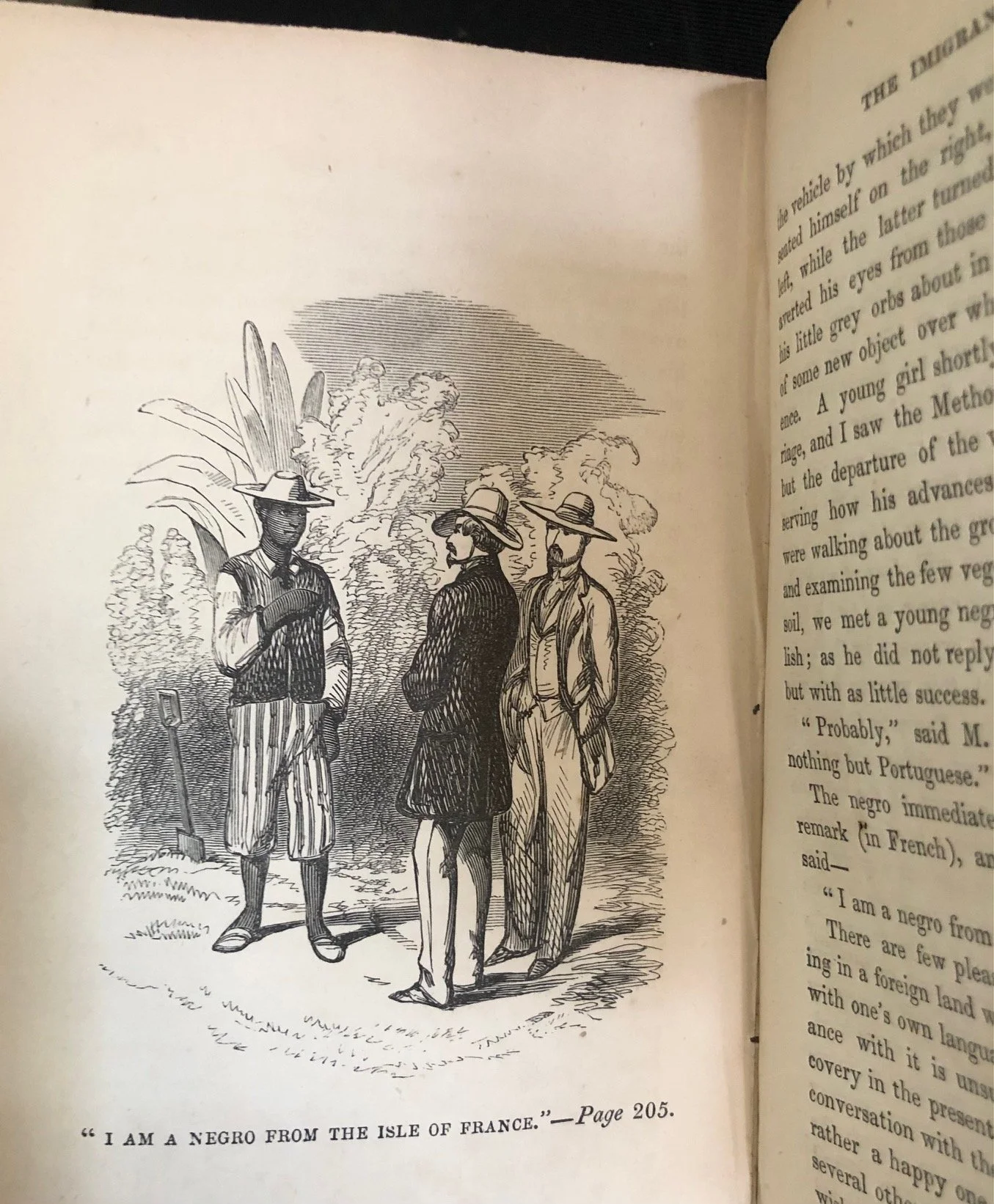 Dr. Melchior-Honoré Yvan’s Romance of Travel, From Brest to the Isle of Bourbon, Brazil, &c (1854)