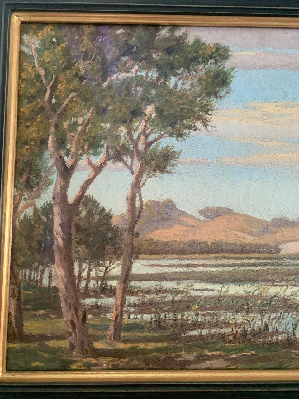 Isipingo Lagoon 6.jpeg