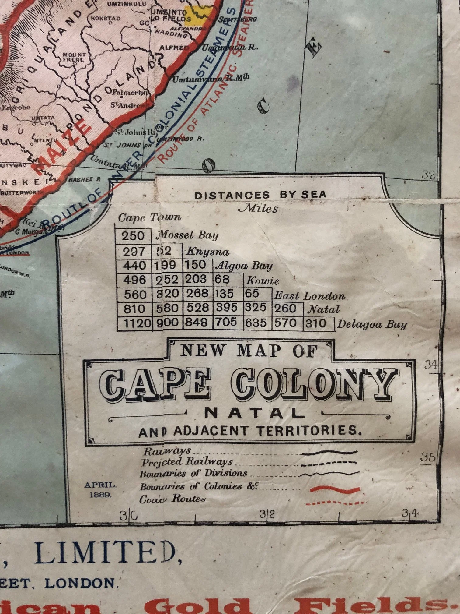 The Union Steamship Company 3.jpg