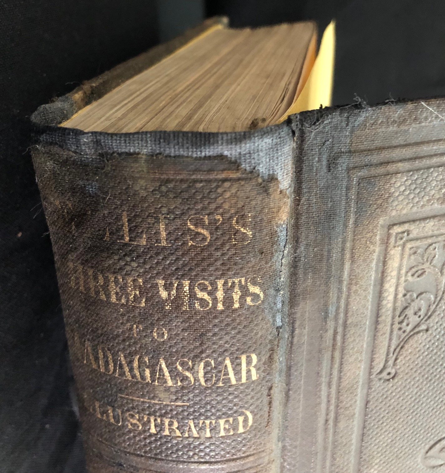 Three Visits to Madagascar 1859 2.jpg