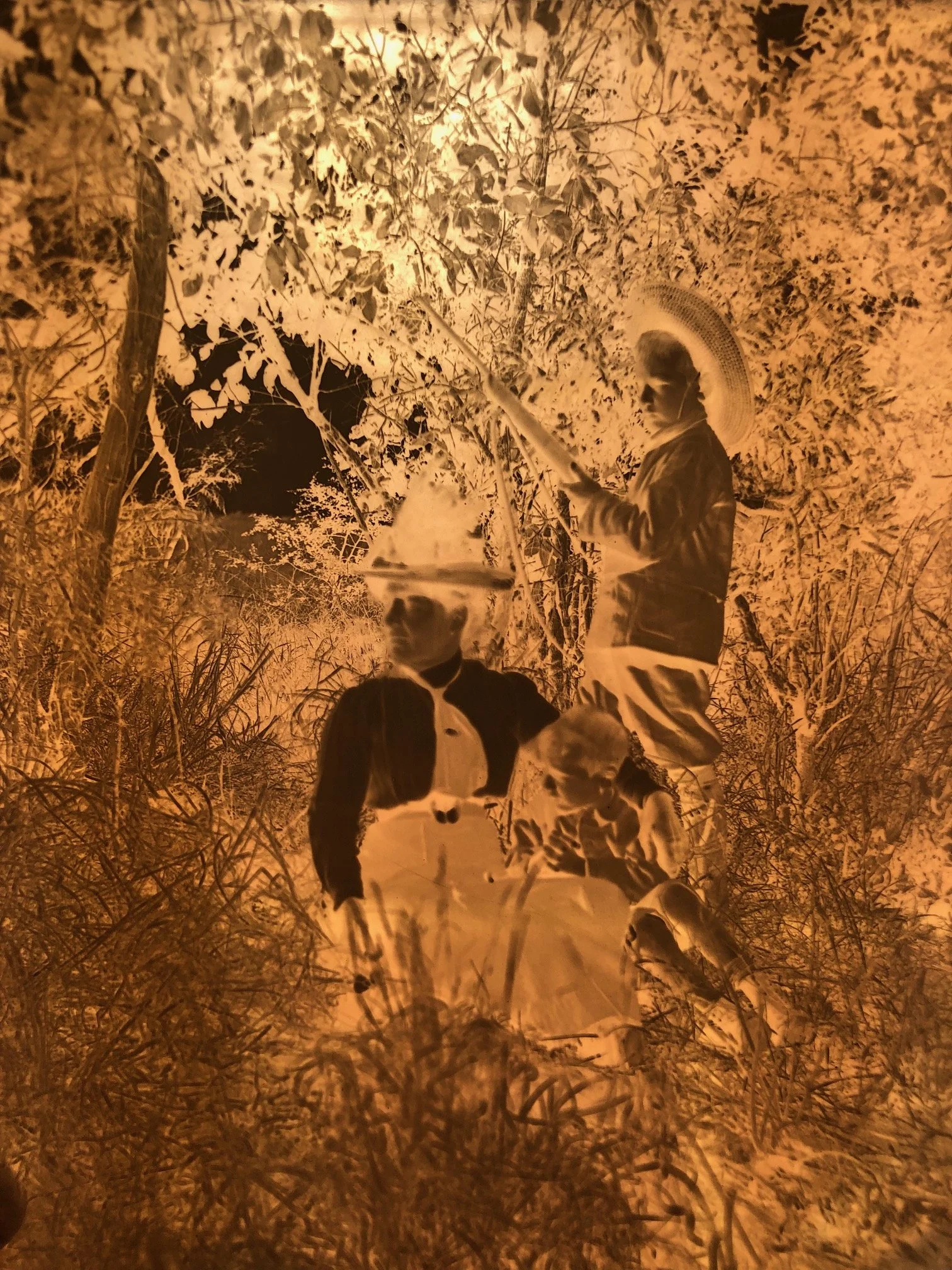Negatives Relating to Hunting 4.jpg