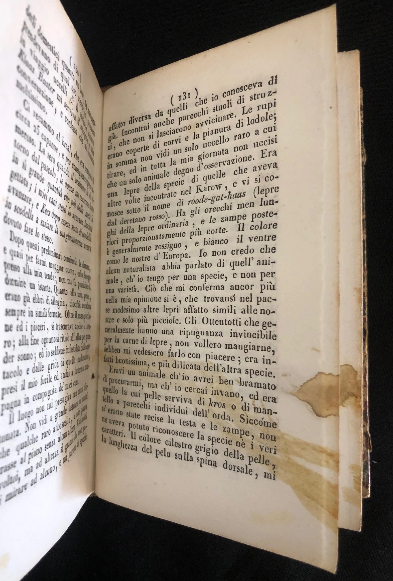 Travels in Southern Africa (Italian) 8.jpg