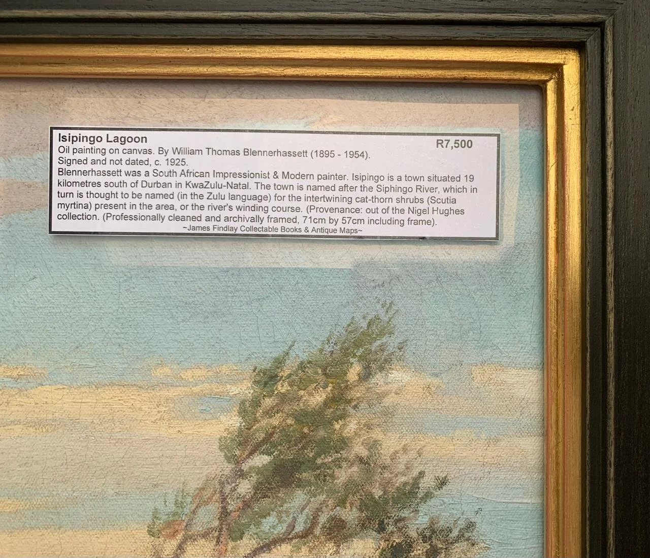 Isipingo Lagoon 2.jpeg